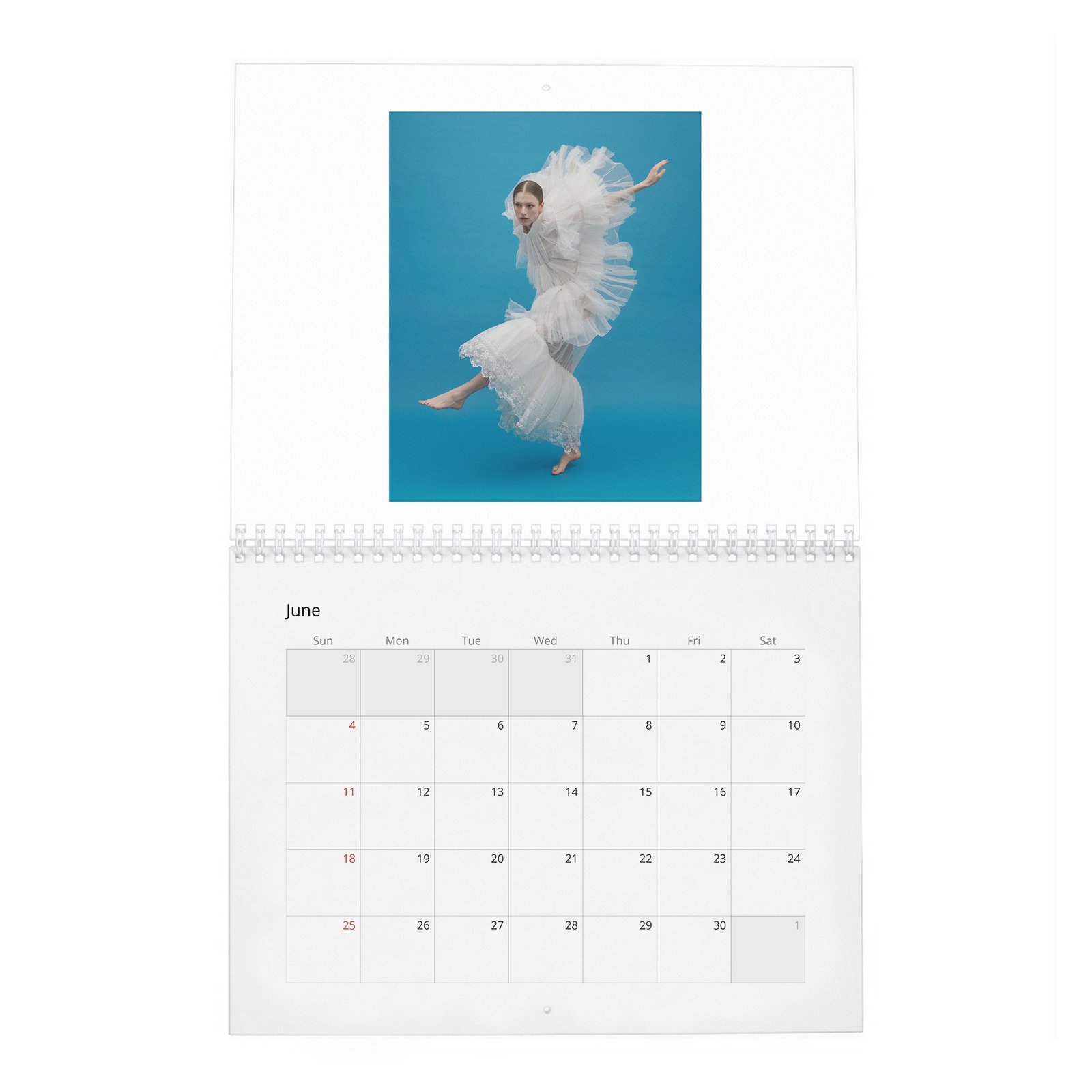 06 (2) Hunter Schafer - Leaning In 2027 Wall Calendar