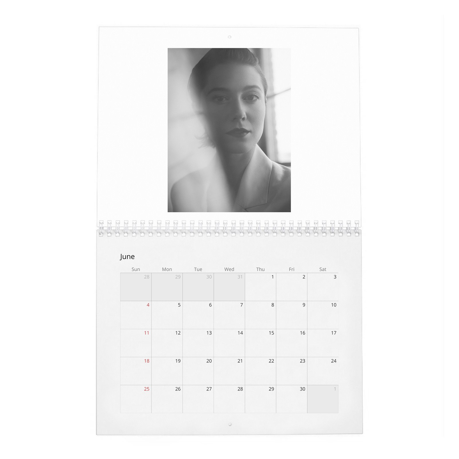 06 Mary Elizabeth Winstead - Laterals 2027 Wall Calendar