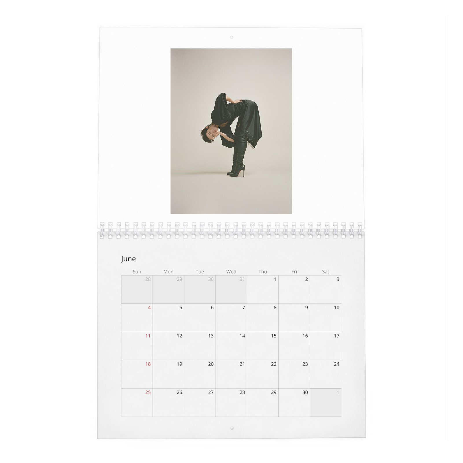 06 Mary Elizabeth Winstead - She Loves Playing The Badass 2027 Wall Calendar