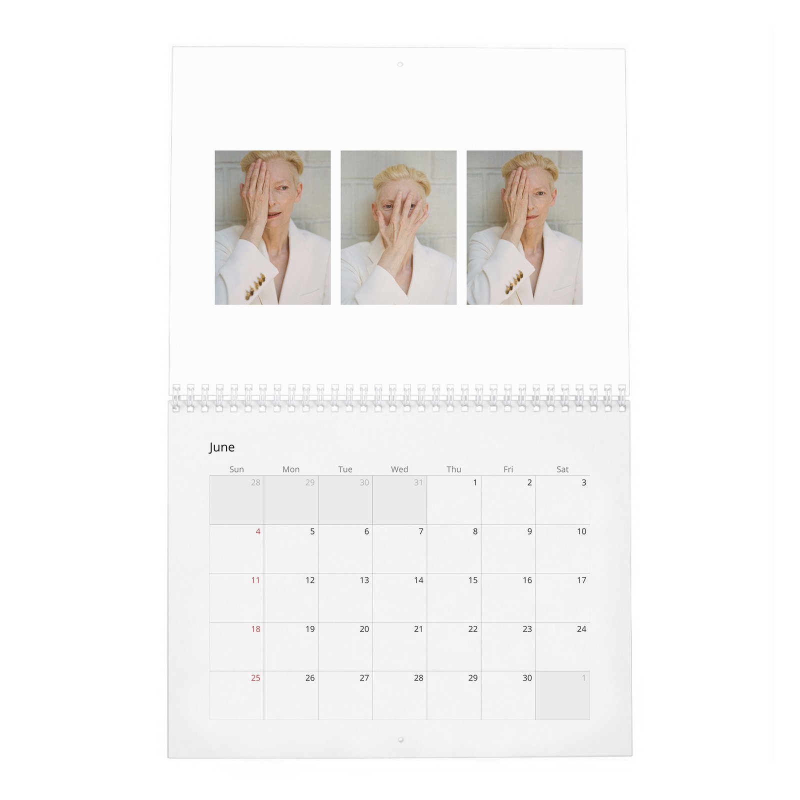 06 Tilda Swinton - Cine-Nerd 2027 Wall Calendar