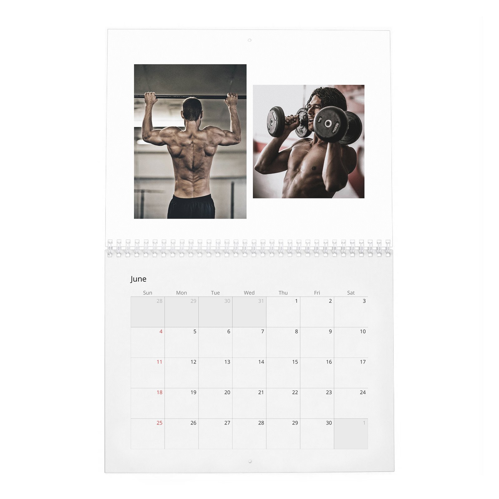 06 Black Sails Leading Men - Burn the Ships 2027 Wall Calendar