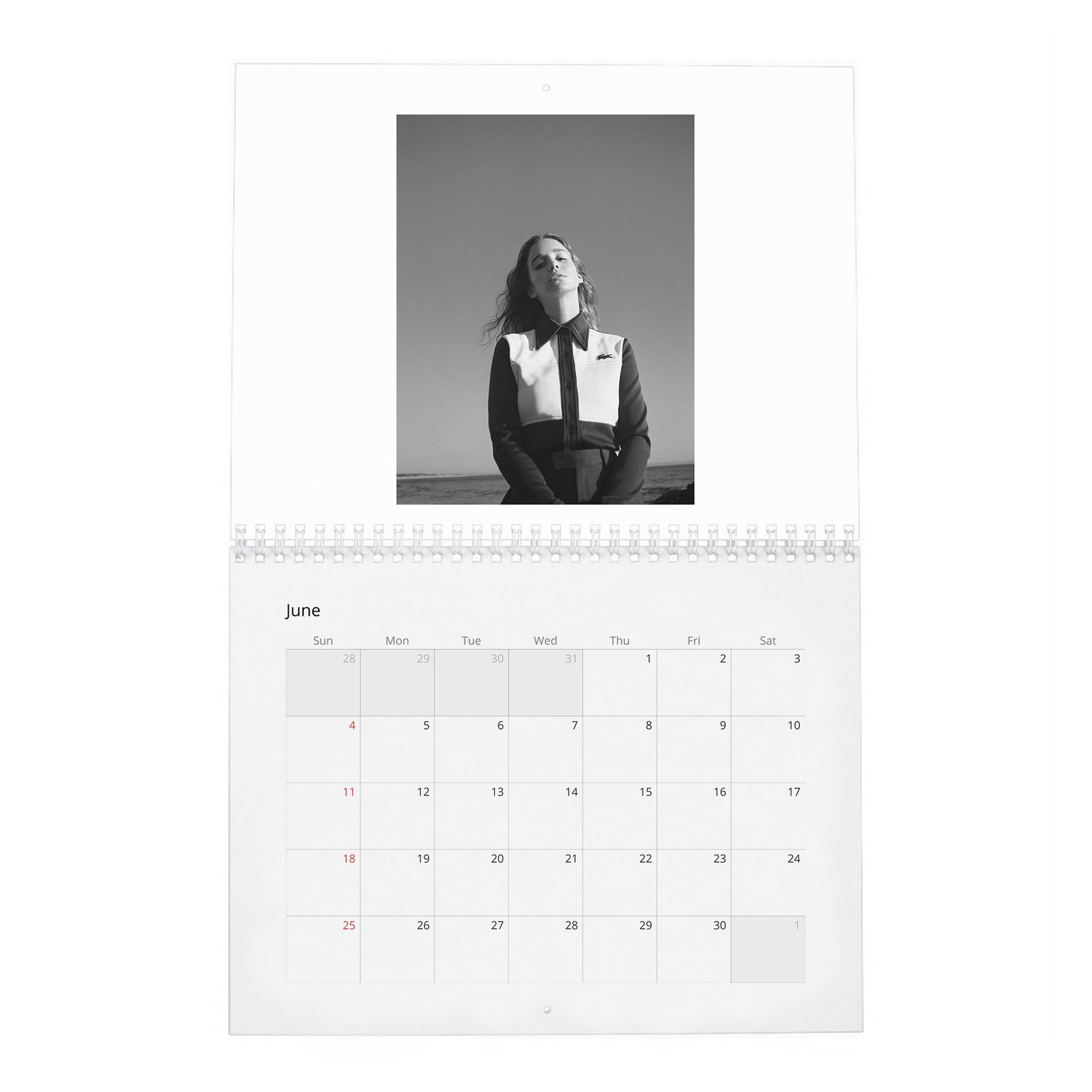 06 Alba Babtista - Embrancing Life 2027 Wall Calendar