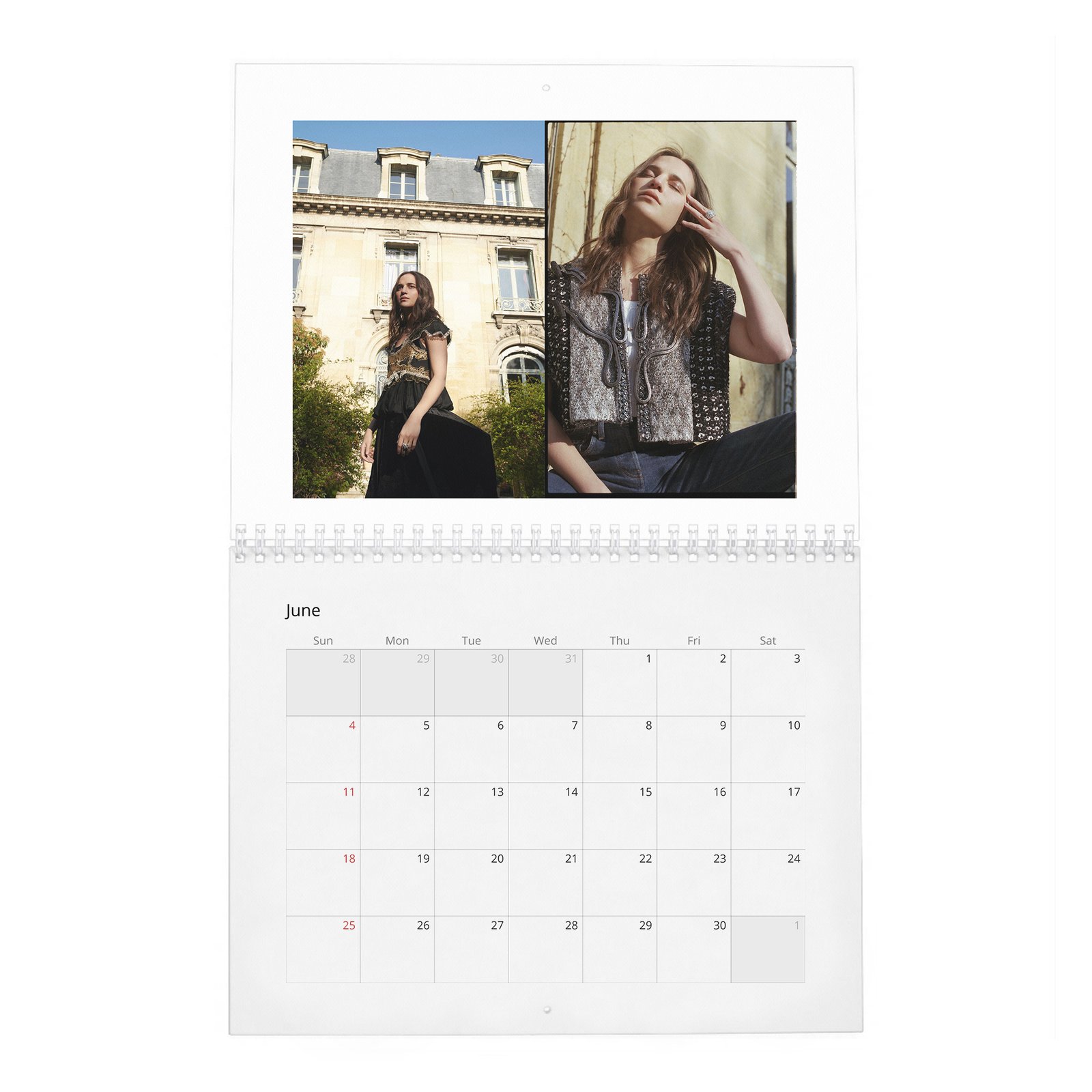 Alicia Vikander - Swedish North Star 2027 Wall Calendar