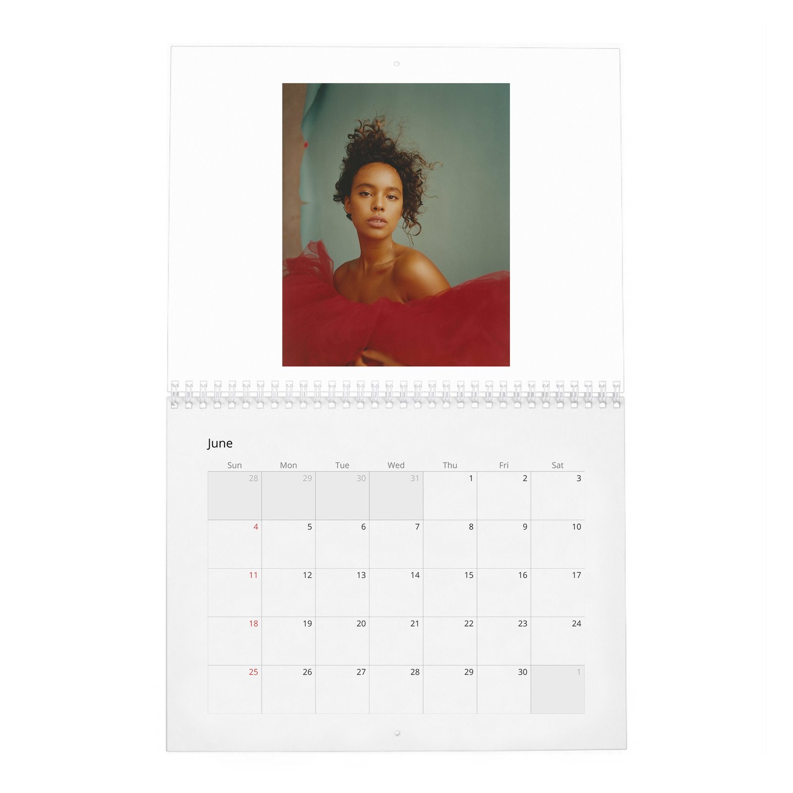 06 Alisha Boe - Wonderland 2027 Wall Calendar