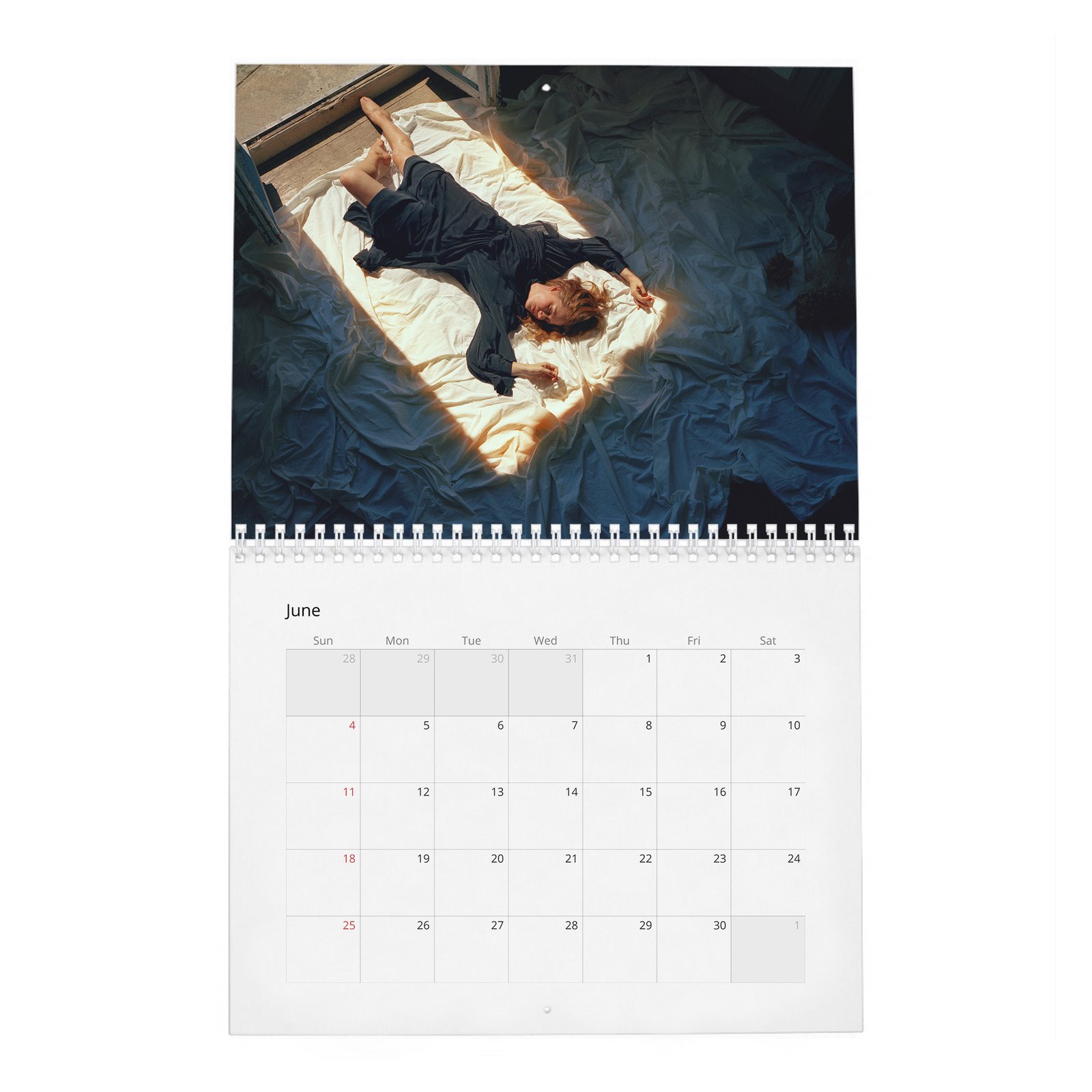 06 Amy Adams - So It Goes 2027 Wall Calendar