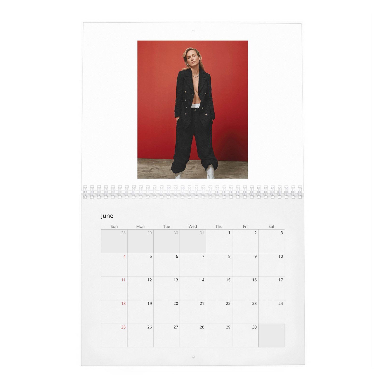 Brie Larson - Goes Her Own Way 2027 Wall Calendar