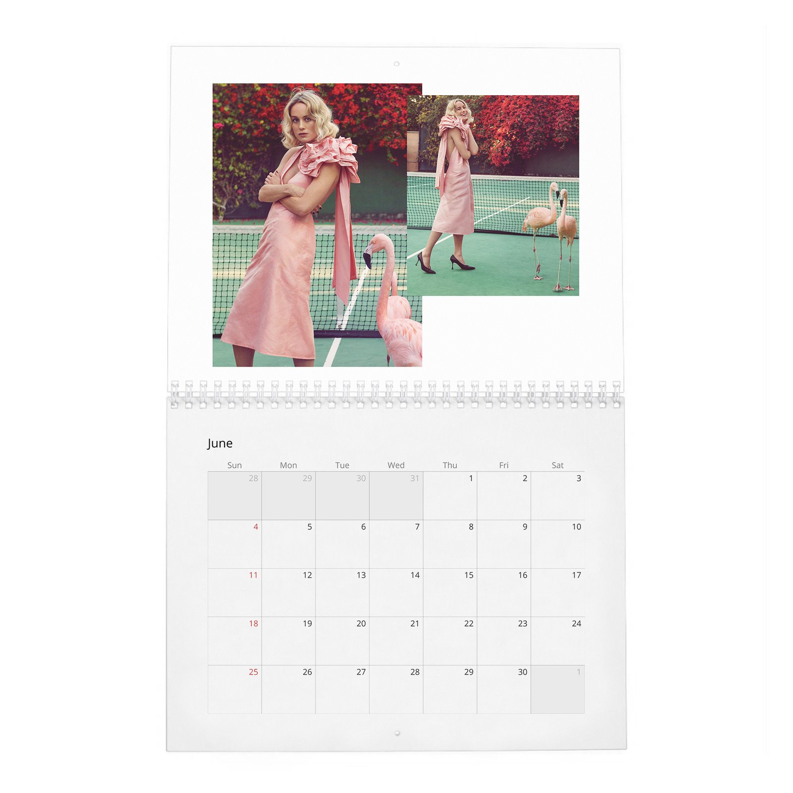 06 Brie Larson - Ready To Kick Some Ass 2027 Wall Calendar