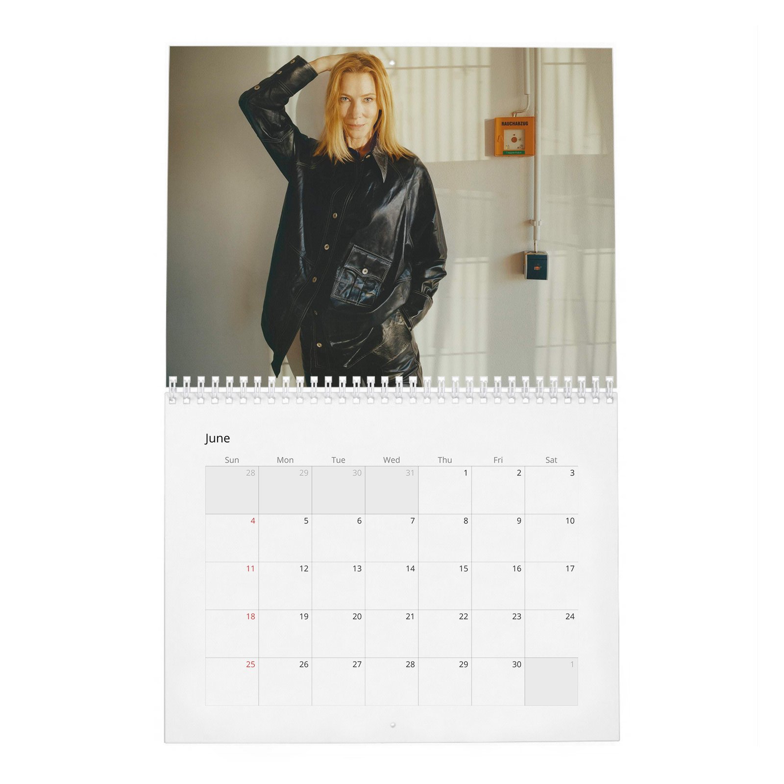 06 Cate Blanchett - Leading Light 2027 Wall Calendar