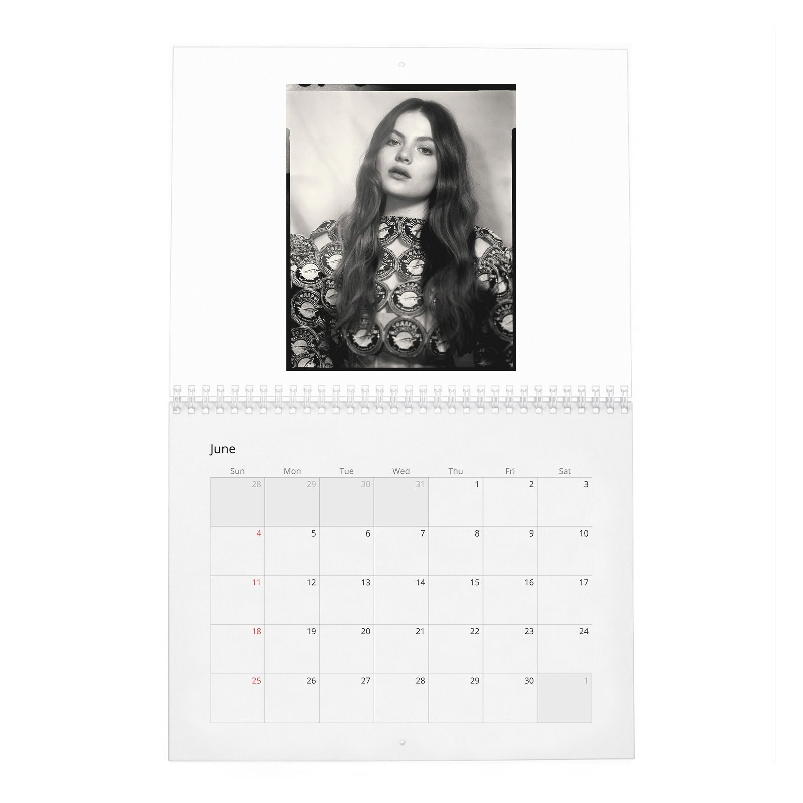 06 Chiara Aurelia - Aptitude And Ease 2027 Wall Calendar