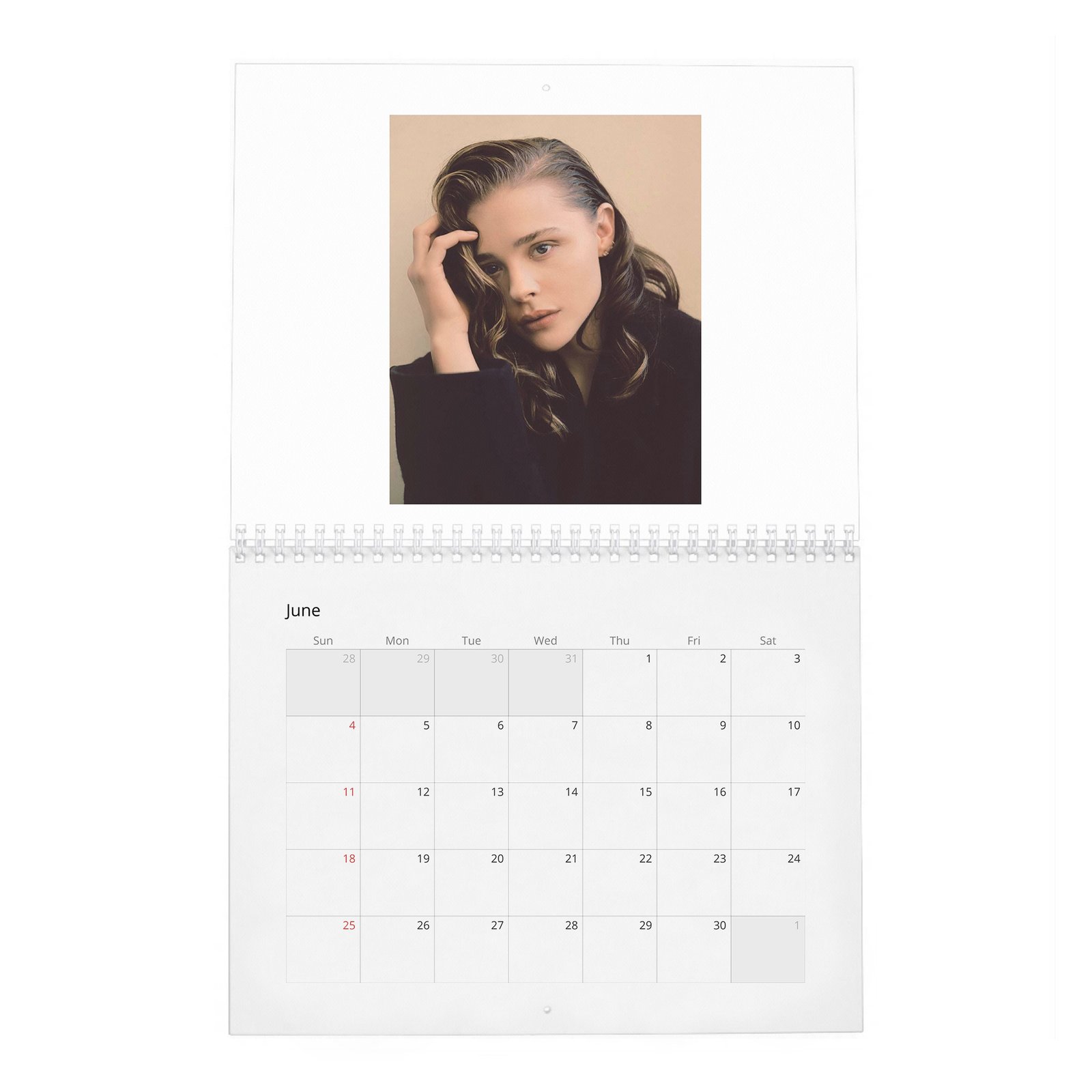 06 Chloe Grace Moretz - Wonderland 2027 Wall Calendar