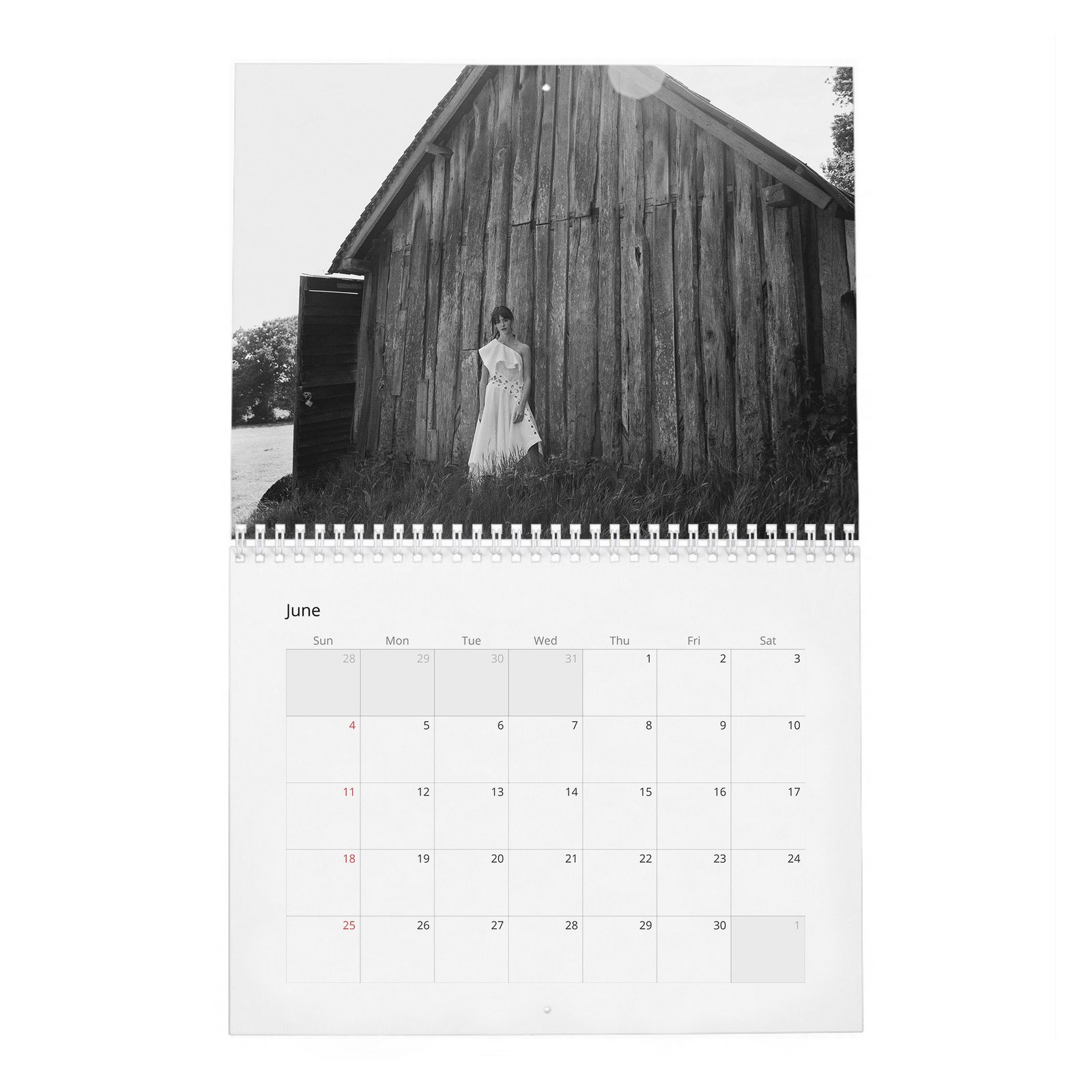 Daisy Edgar-Jones - Modern Love 2027 Wall Calendar