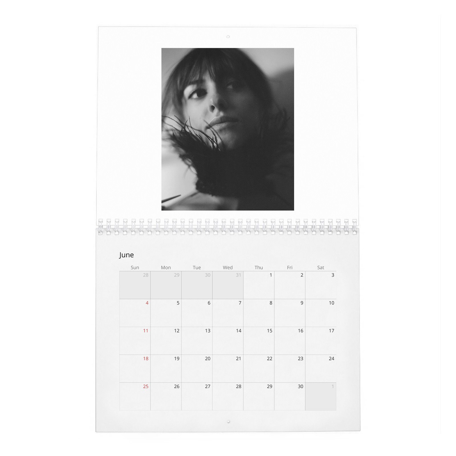 06 Daisy Edgar-Jones - Starring Breaktrough Talent 2027 Wall Calendar
