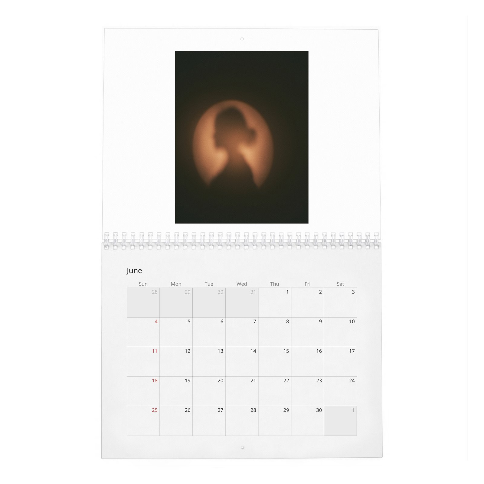 06 Daisy Head - Perseverance And Limitlessness 2027 Wall Calendar