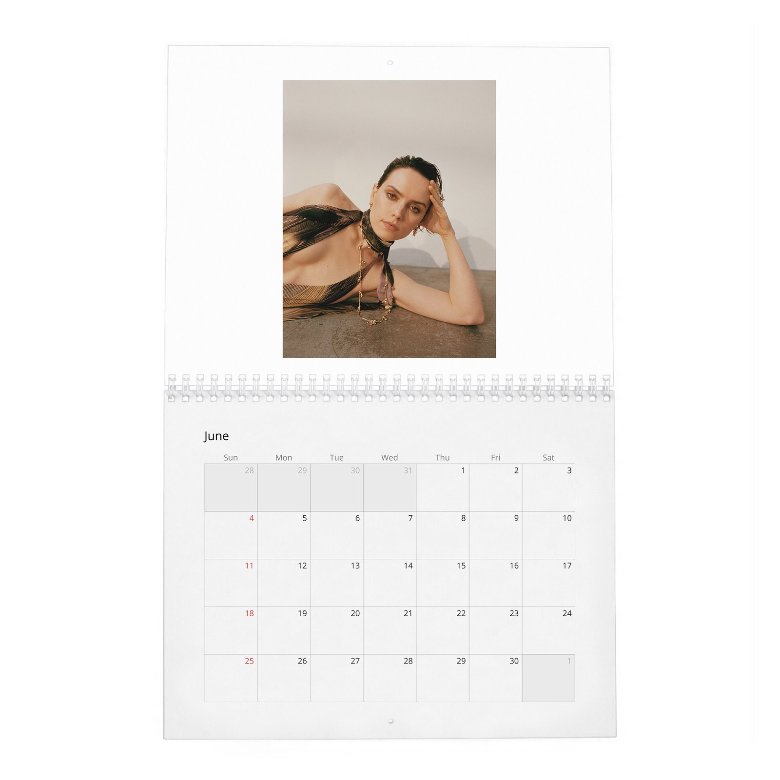 06 Daisy Ridley - Trailblazer In Her Own Right 2027 Wall Calendar