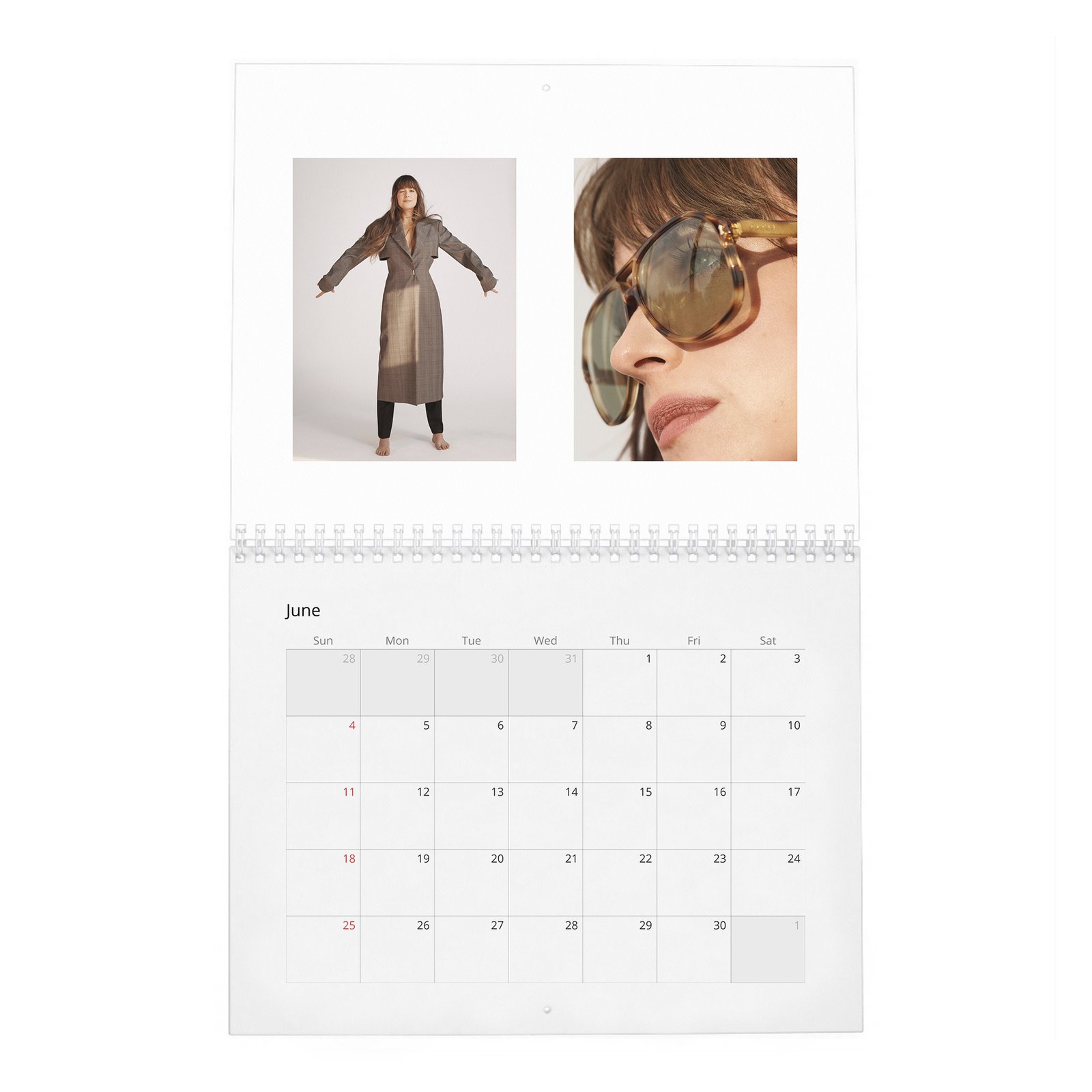 Dakota Johnson - Finding Her Light 2027 Wall Calendar