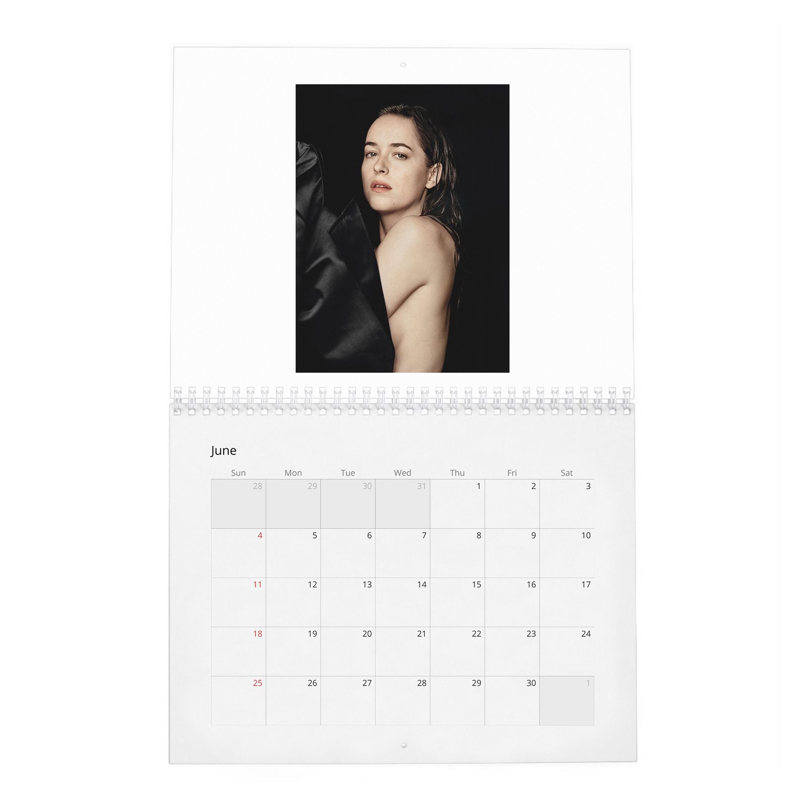 Dakota Johnson - Present A New Vision 2027 Wall Calendar