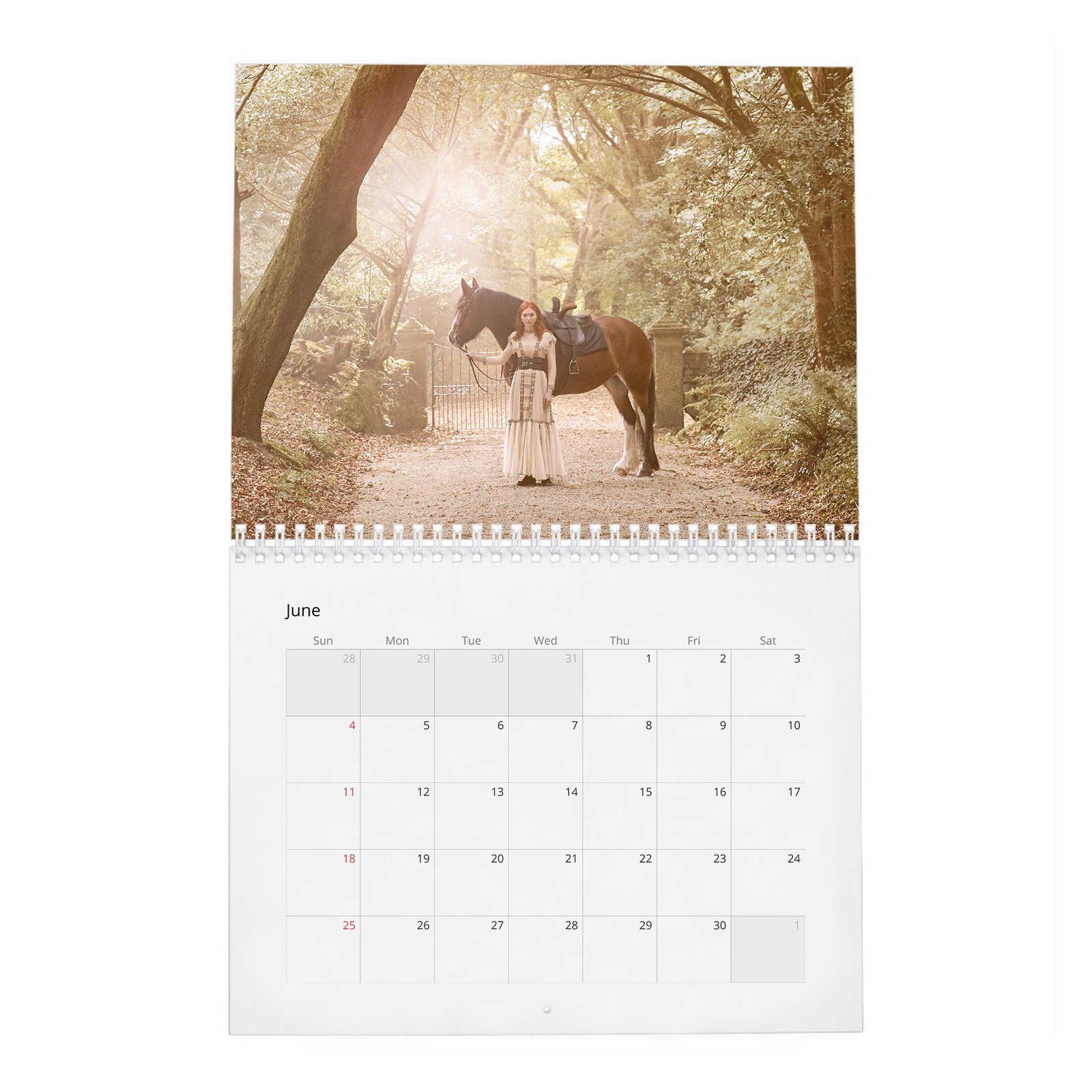 06 Eleanor Tomlinson - O Brave New World 2027 Wall Calendar