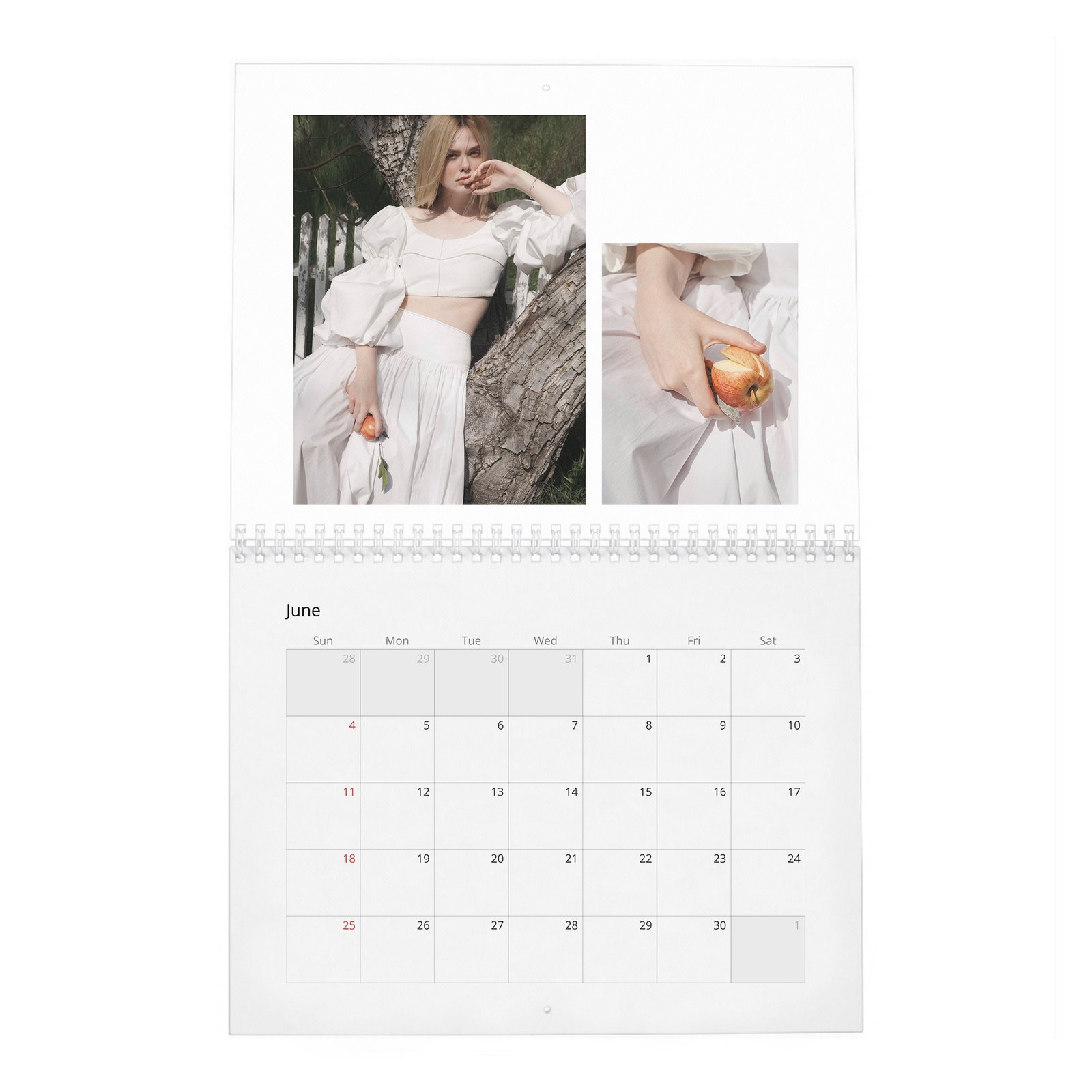 Elle Fanning - Heavenly Creature 2027 Wall Calendar