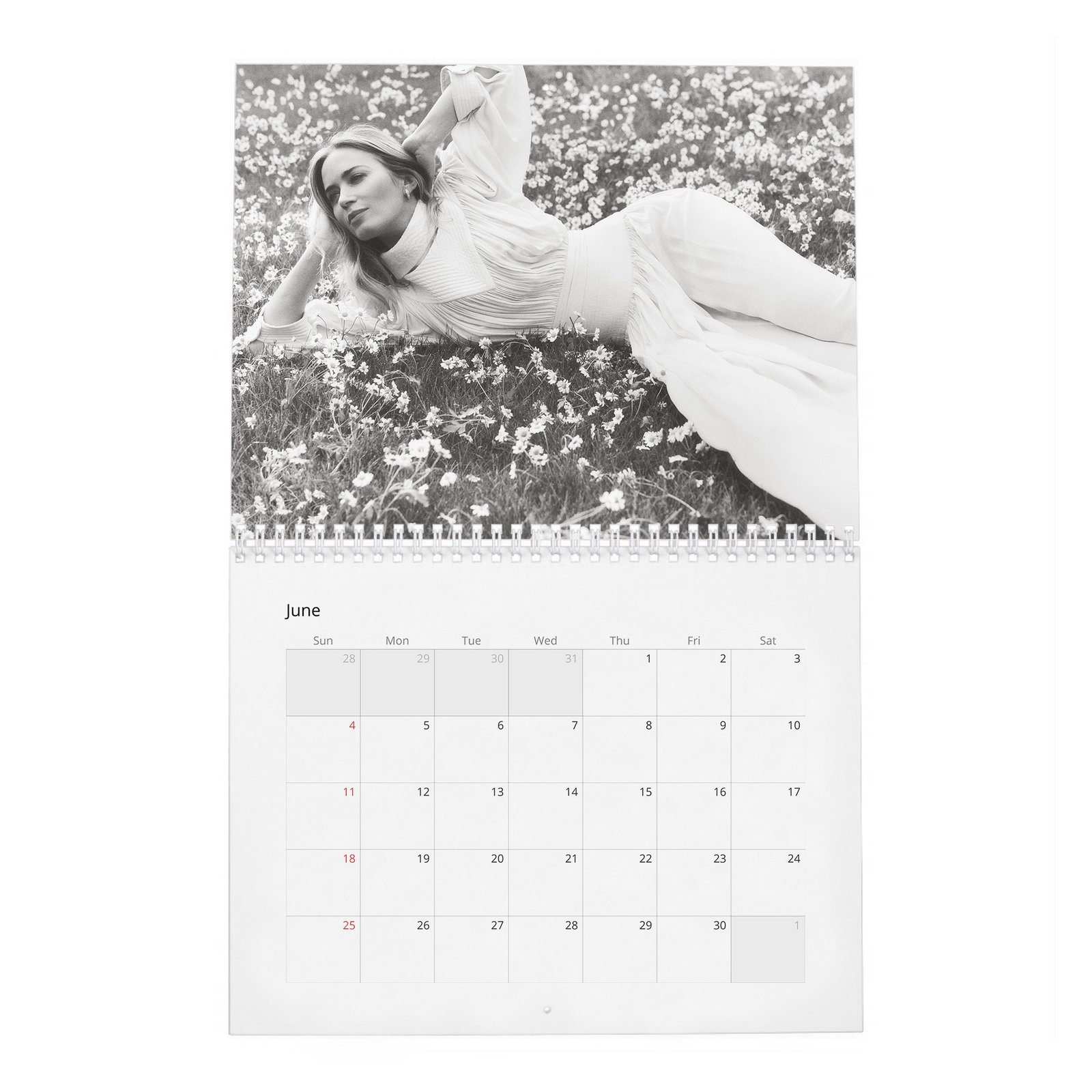 06 Emily Blunt - In Full Bloom 2027 Wall Calendar