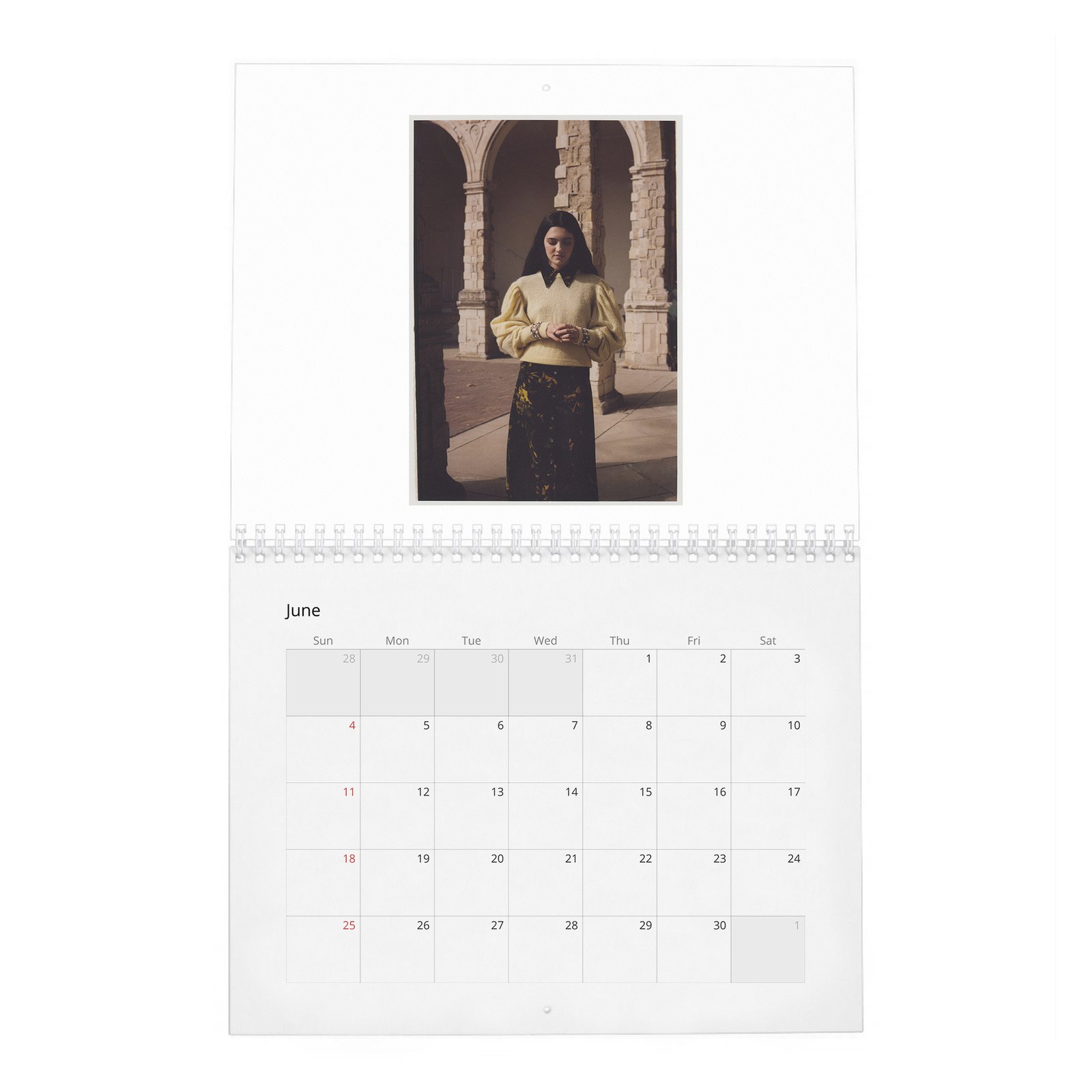 06 Emily Carey - Rose And Ivy 2027 Wall Calendar