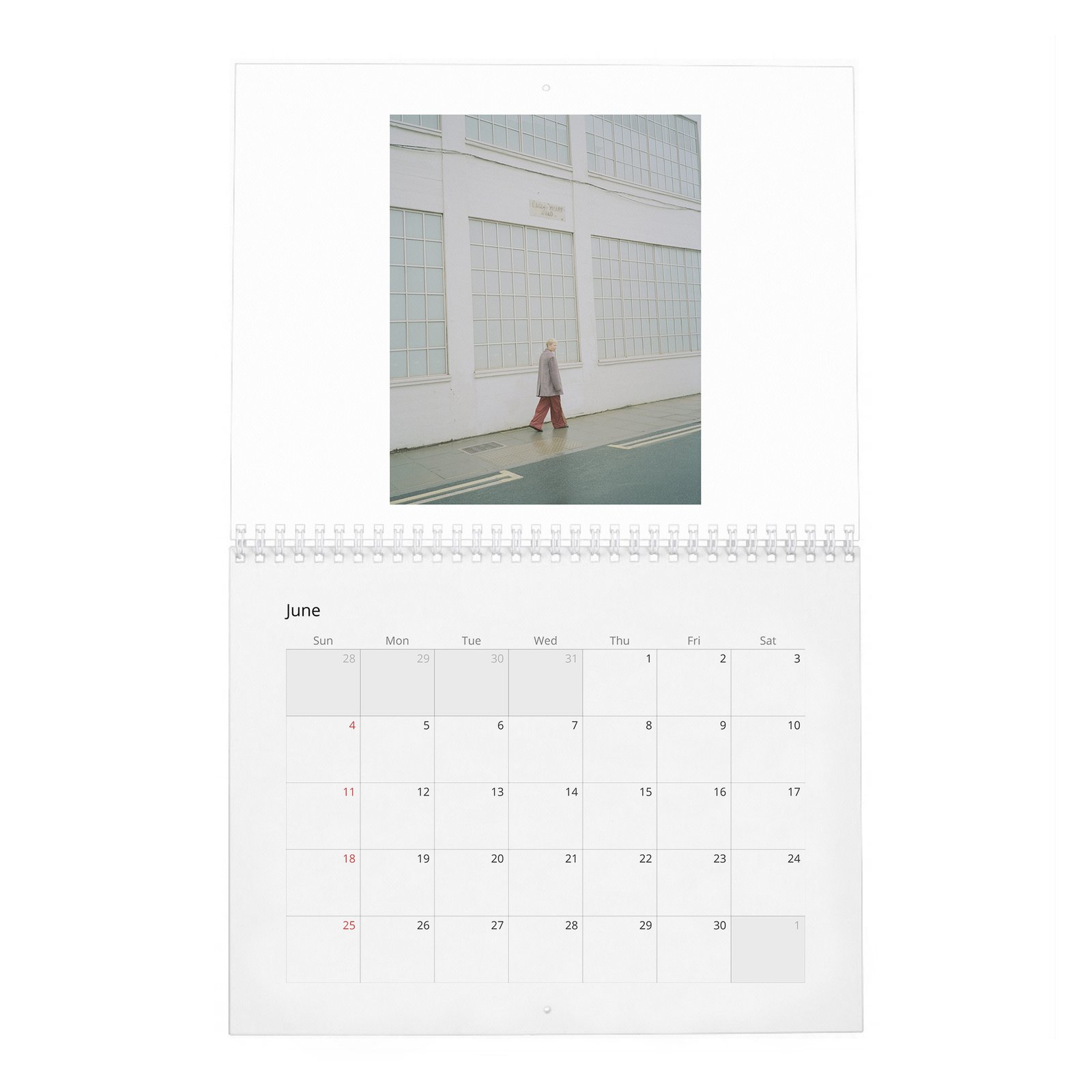 Emma D’Arcy - The Dragon Queen 2027 Wall Calendar