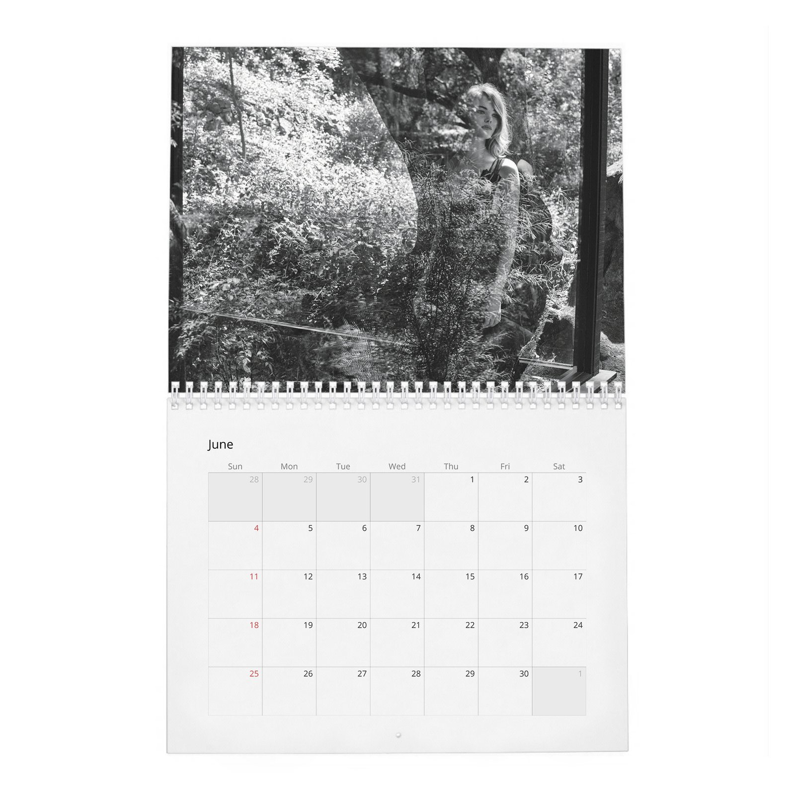 06 Emma Stone - Interview 2027 Wall Calendar