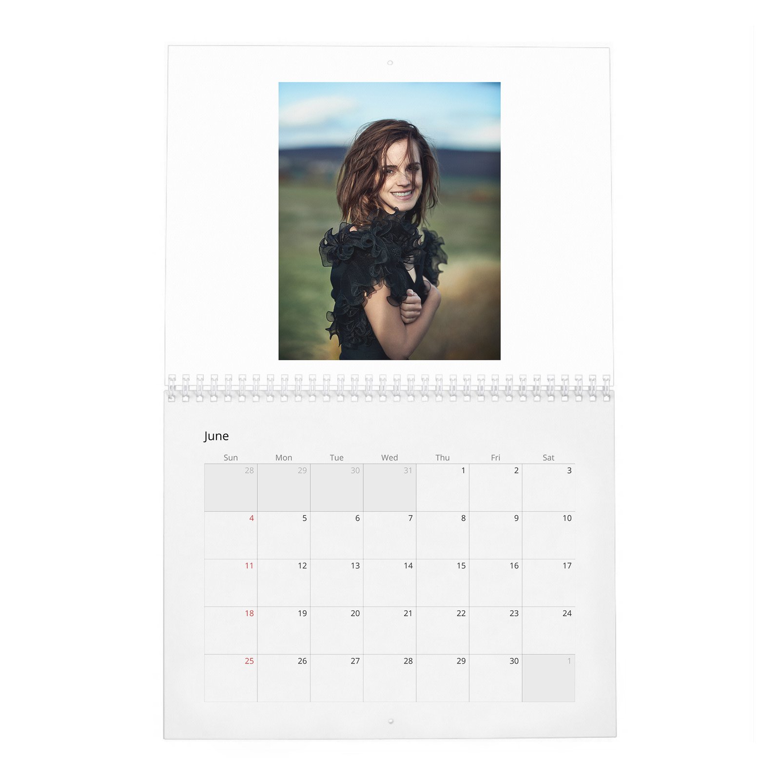 Emma Watson - Voice For Change 2027 Wall Calendar