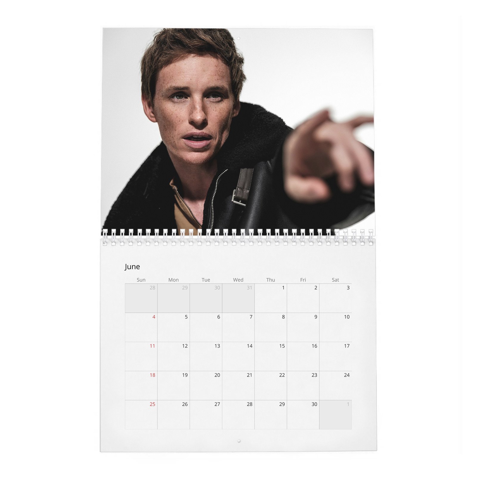 Eddie Redmayne - In Theory It Has Everything 2027 Wall Calendar