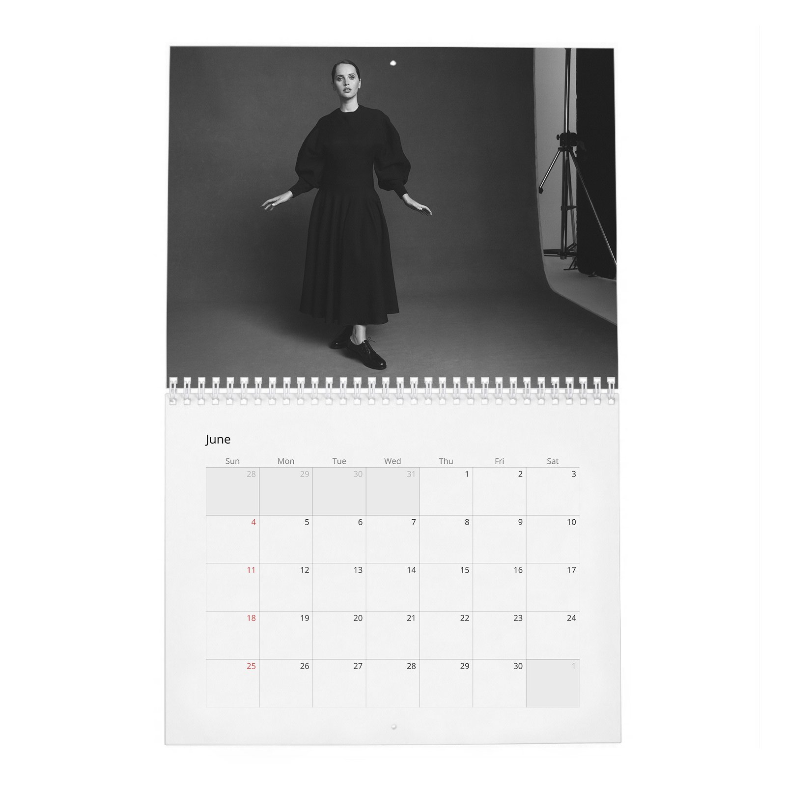 Felicity Jones - Rebel With A Cause 2027 Wall Calendar