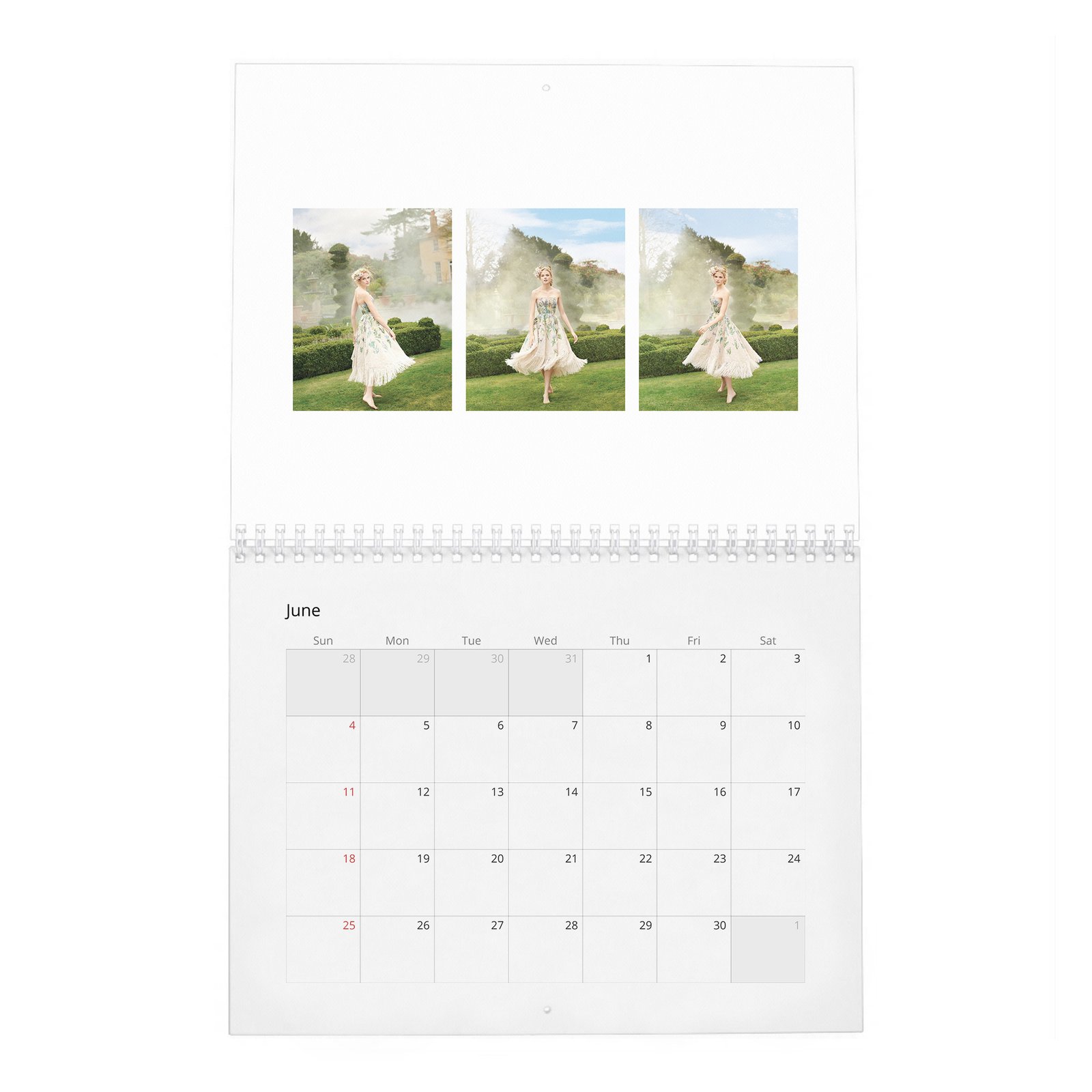 Gabriella Wilde - In Fine Feather 2027 Wall Calendar