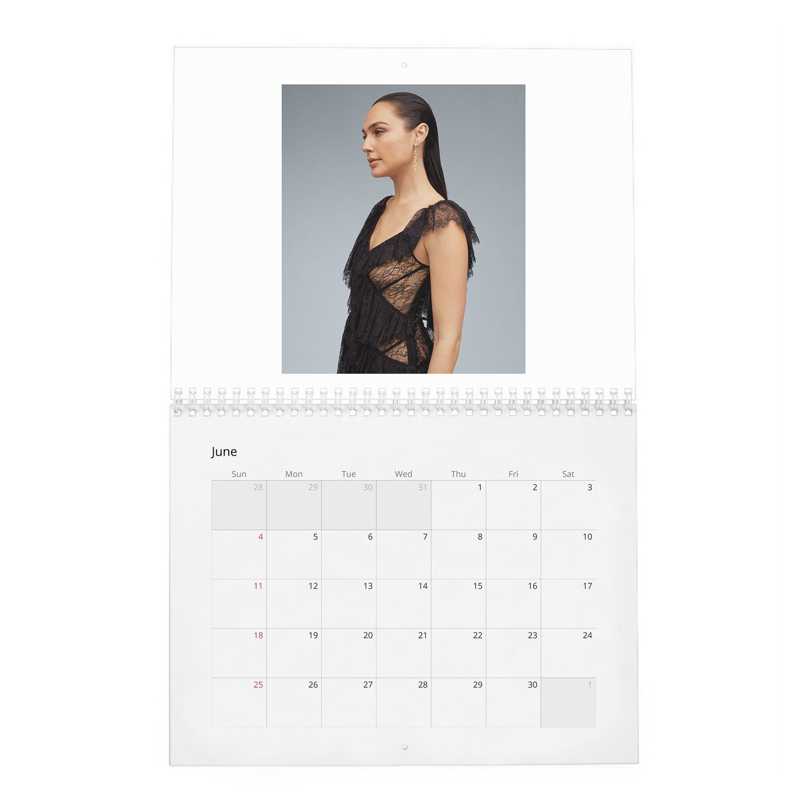 06 Gal Gadot - Real-Life Heroine 2027 Wall Calendar