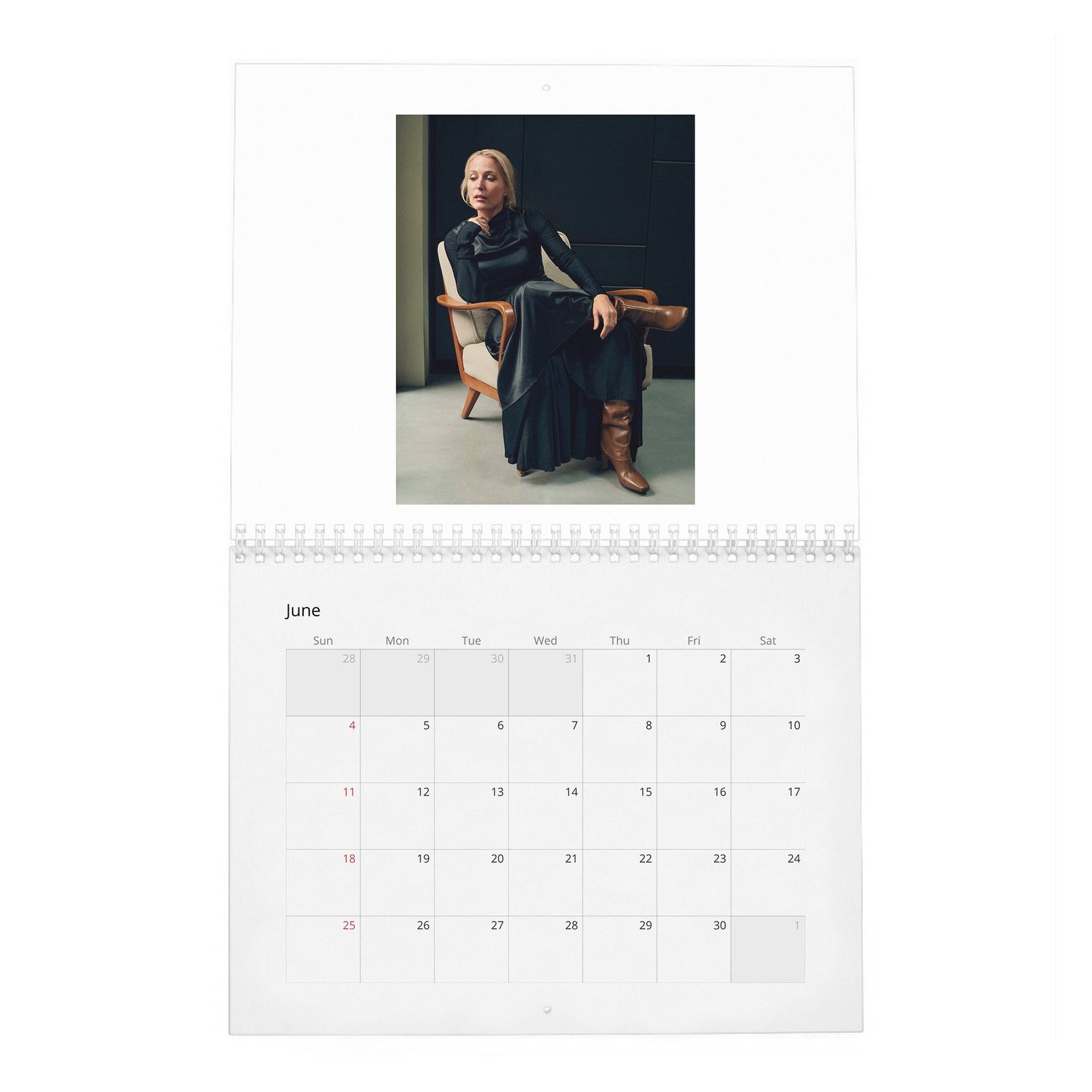 06 Gillian Anderson - Prime Time 2027 Wall Calendar