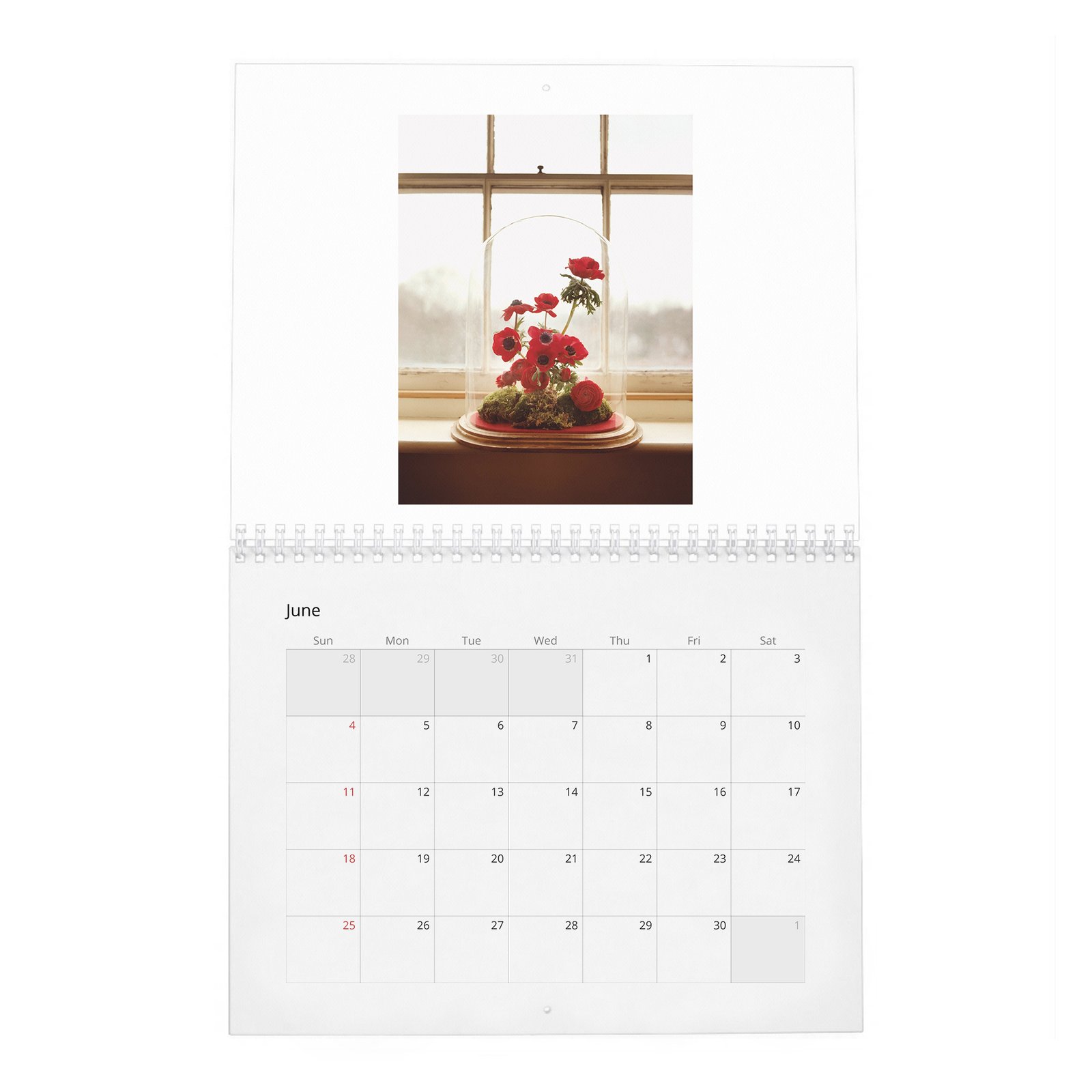 06 Helena Bonham Carter - Queen Of Wonderland 2027 Wall Calendar