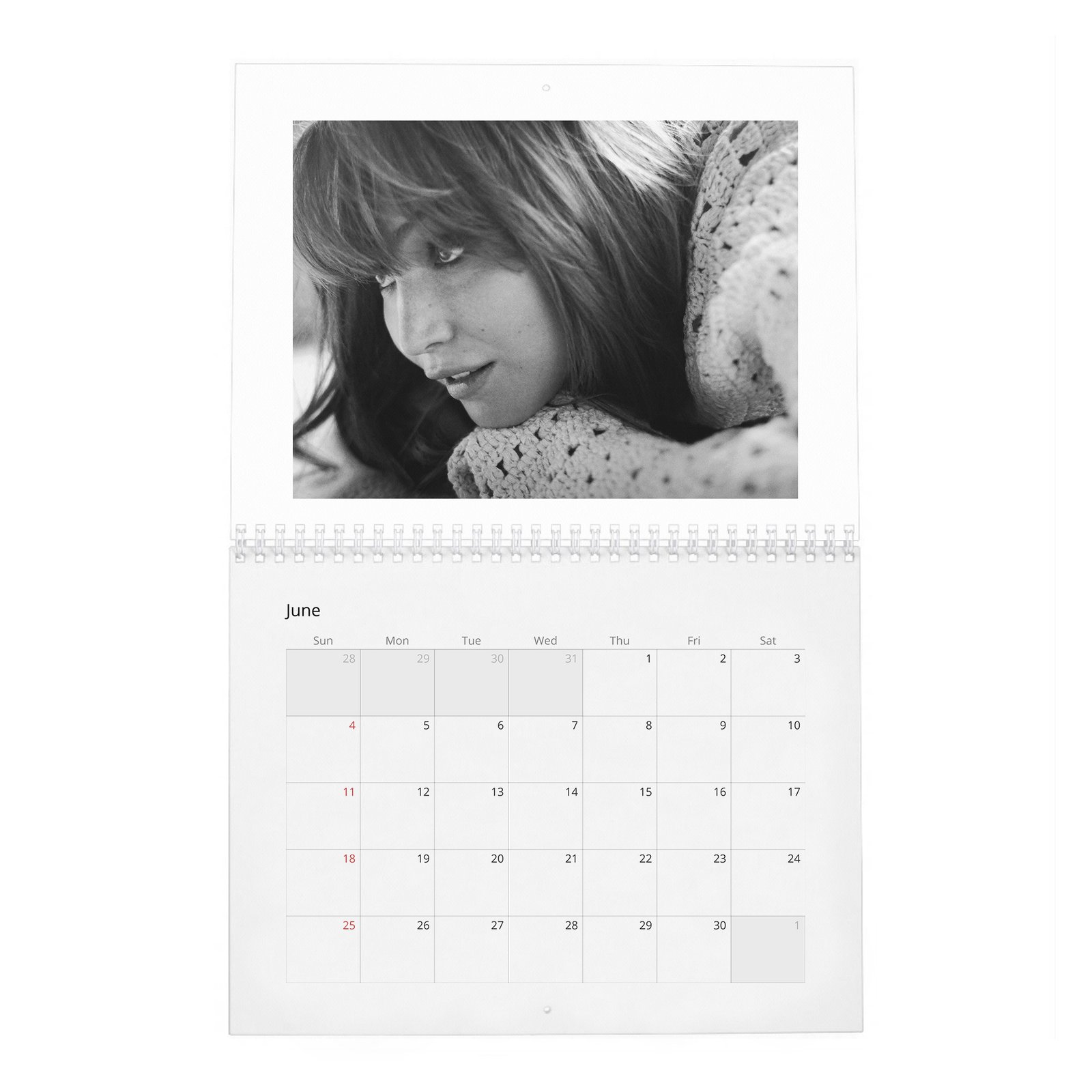 Jennifer Lawrence - Like A Normal Person 2027 Wall Calendar