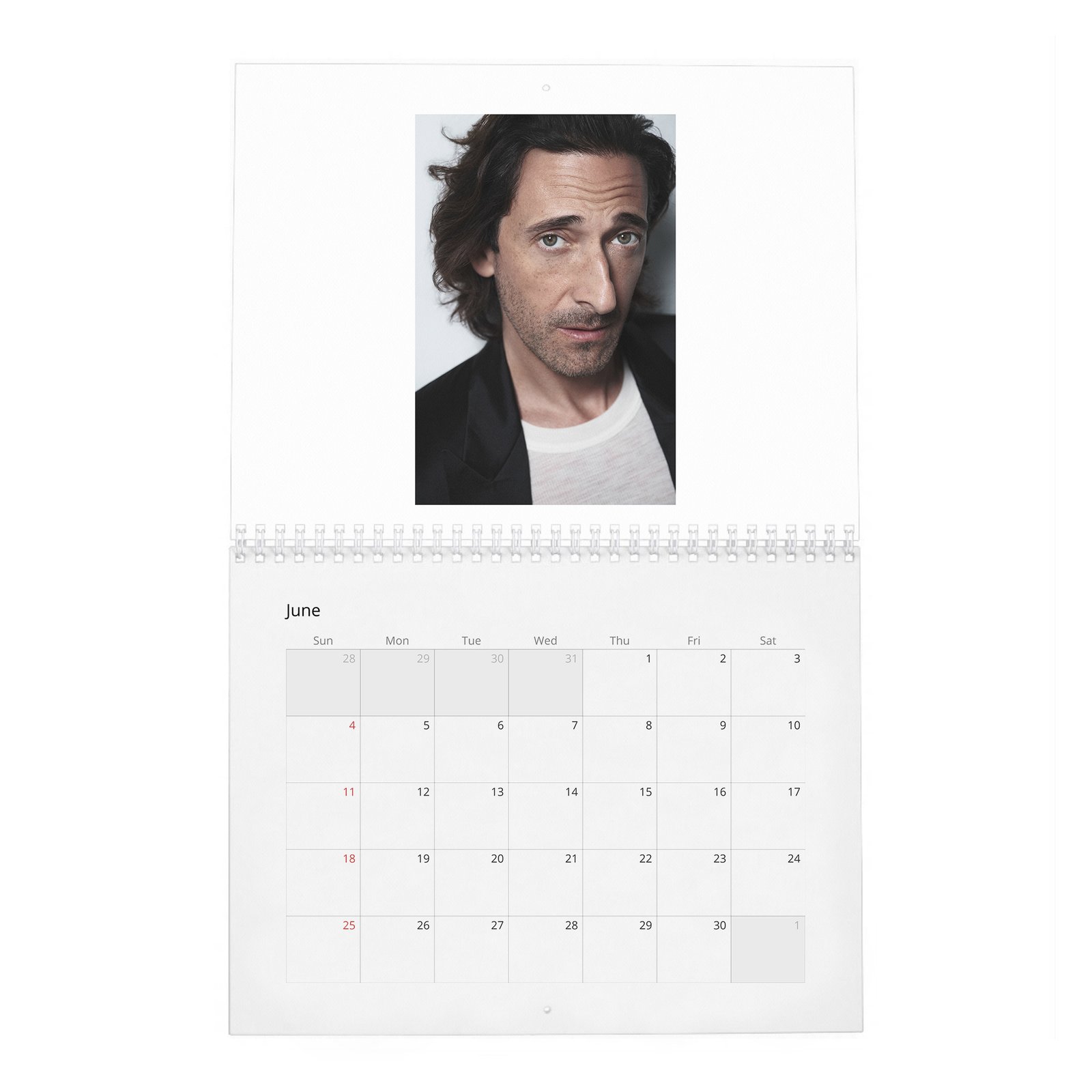 06 Adrien Brody - The Amazing Adrian 2027 Wall Calendar
