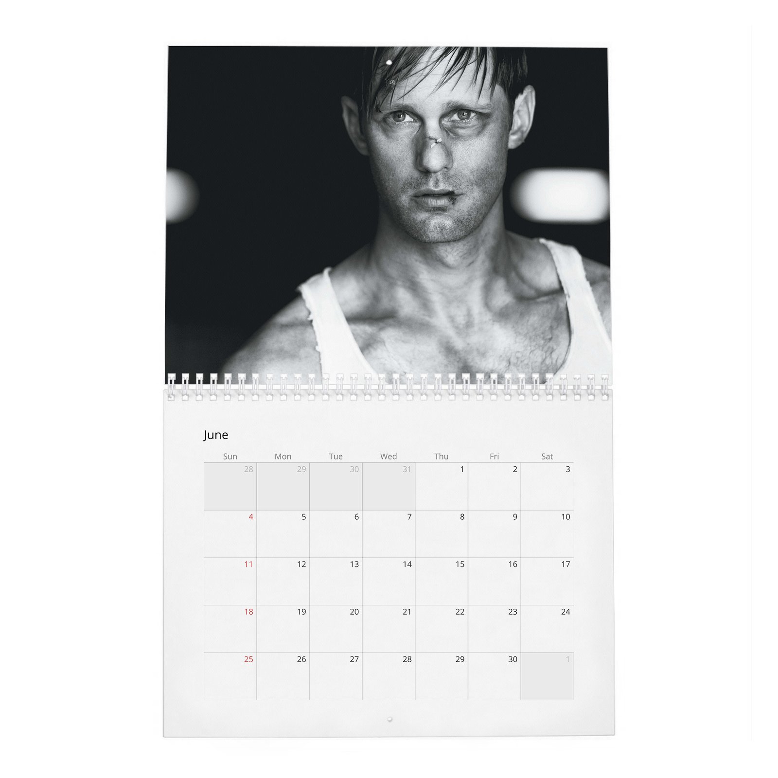 06 Alexander Skarsgard - Knockout At Fortune Gym 2027 Wall Calendar