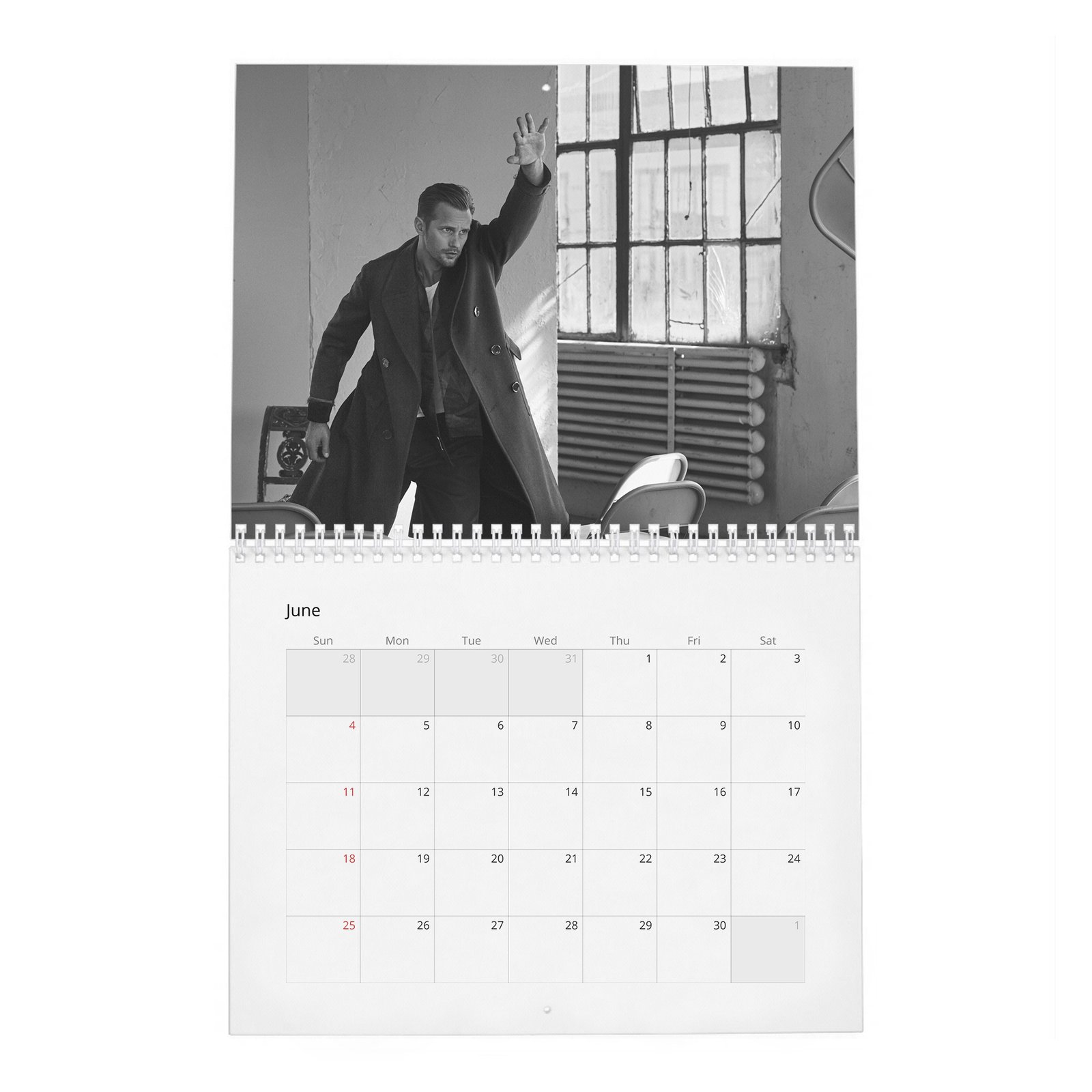 06 Alexander Skarsgard - Scenes 2027 Wall Calendar