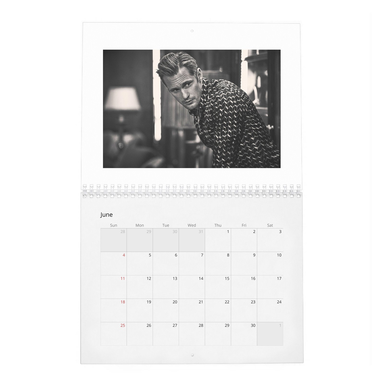 Alexander Skarsgard - Top Swede 2027 Wall Calendar