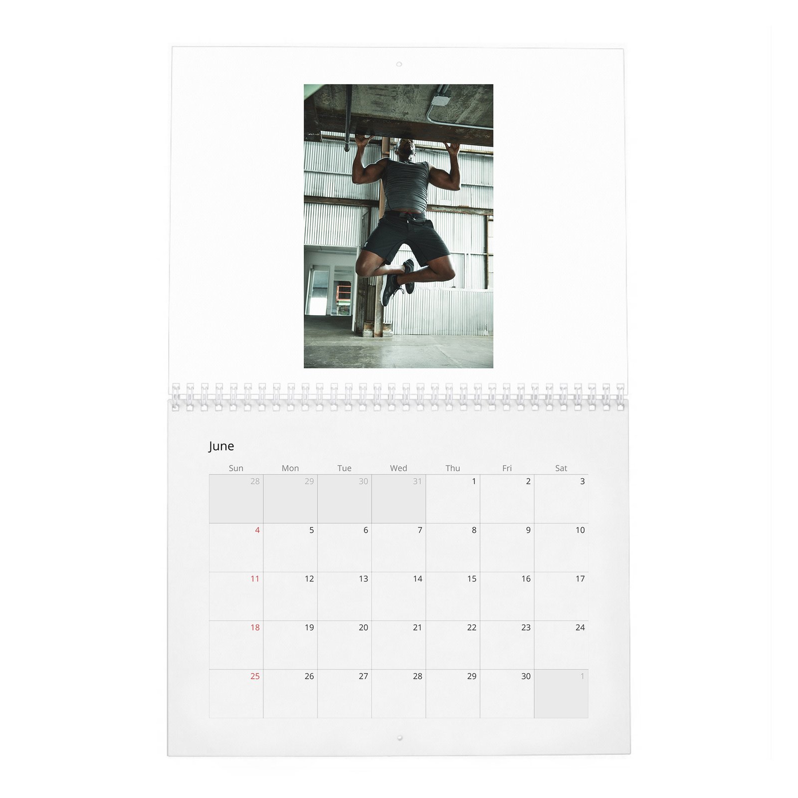 06 Anthony Mackie - Your New Captain 2027 Wall Calendar