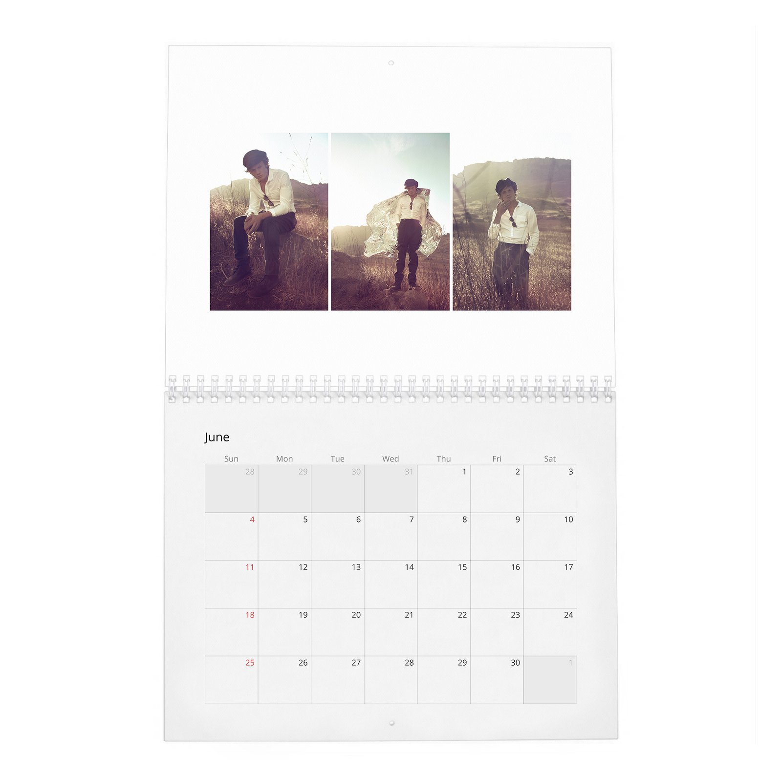 06 Anton Yelchin - Flaunt 2027 Wall Calendar