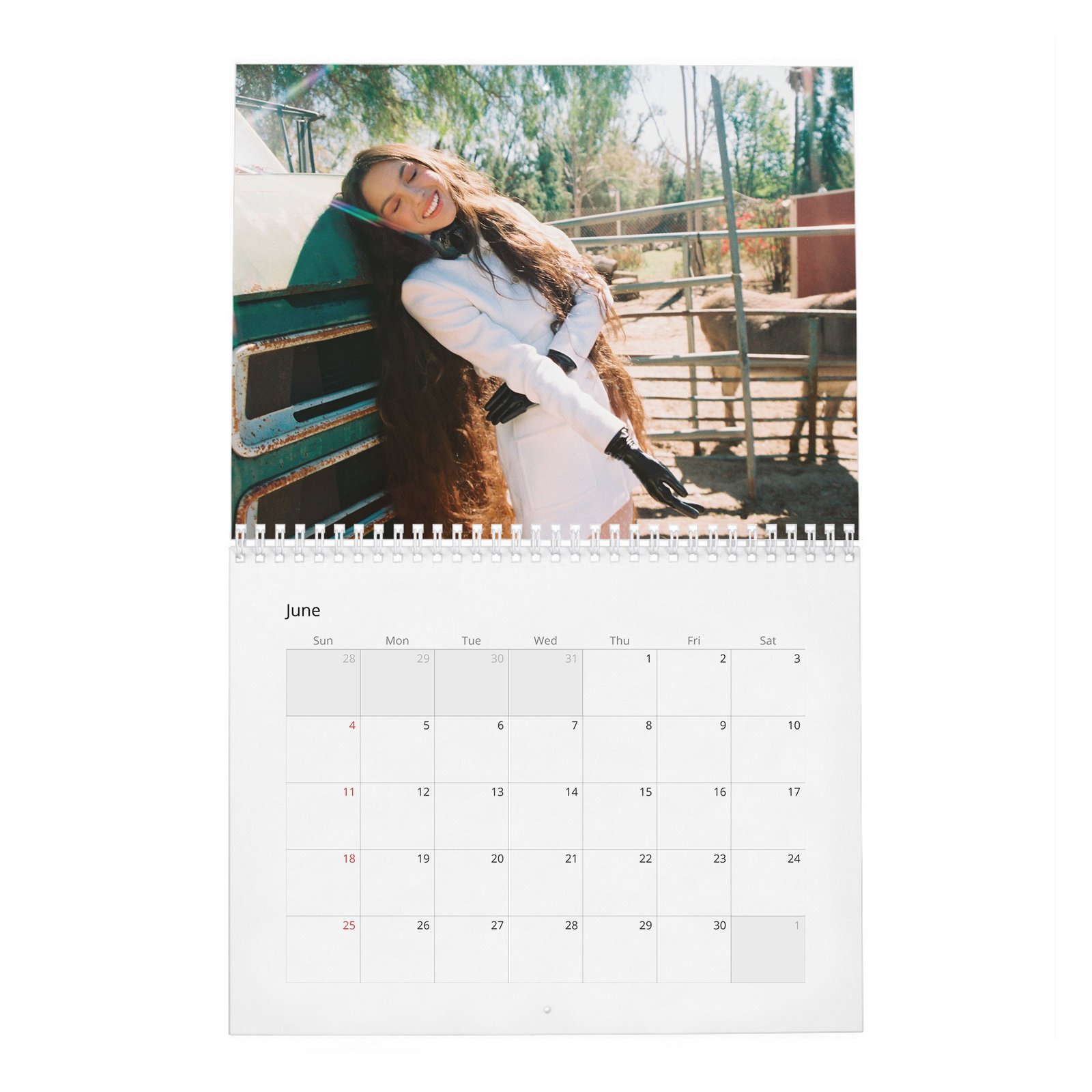 06 Olivia Rodrigo - Rising Star 2027 Wall Calendar
