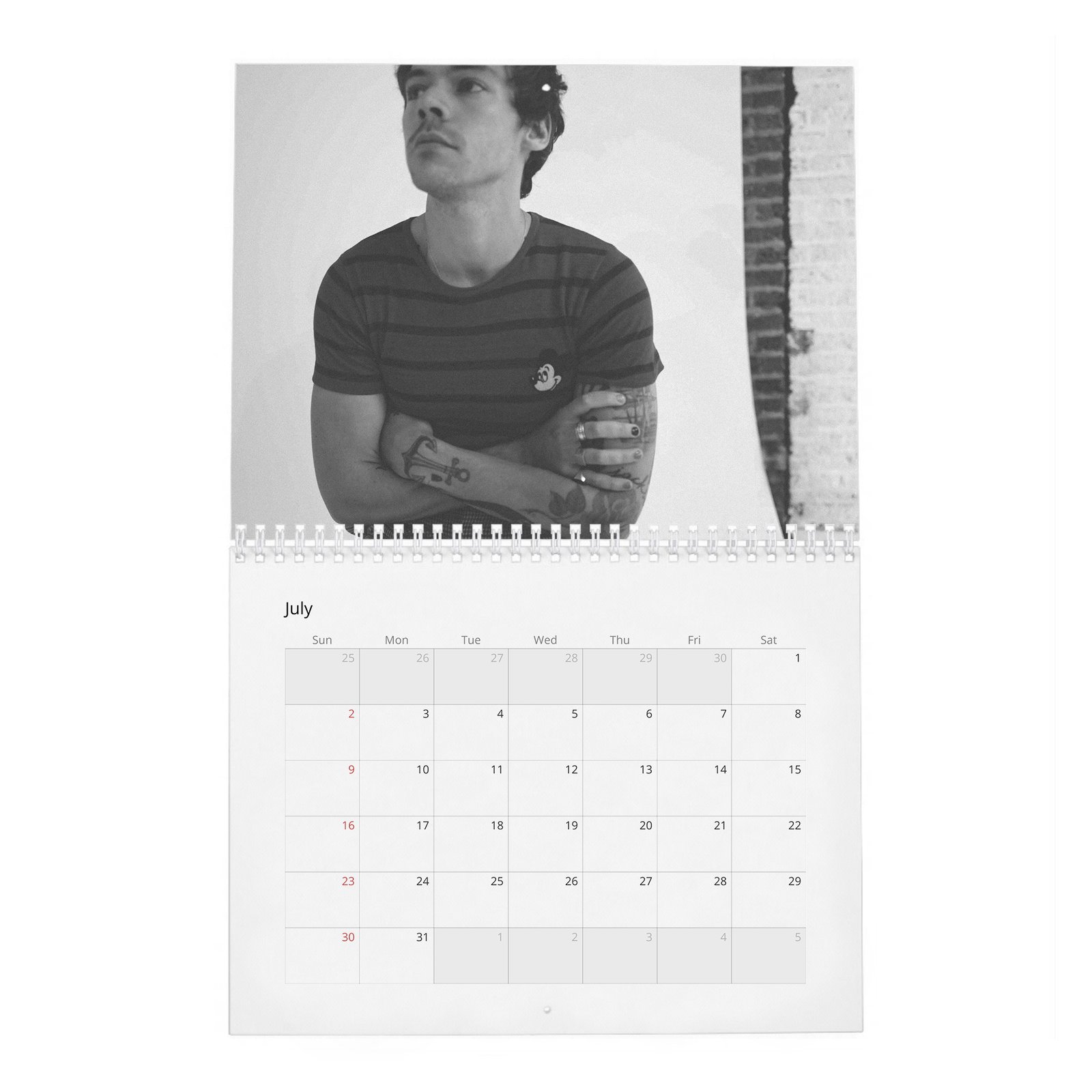 07 Harry Styles - House of Styles 2027 Wall Calendar