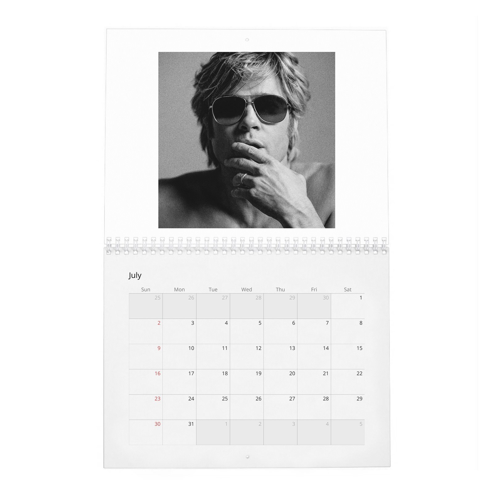 Brad Pitt - Born To Be Brad 2027 Wall Calendar