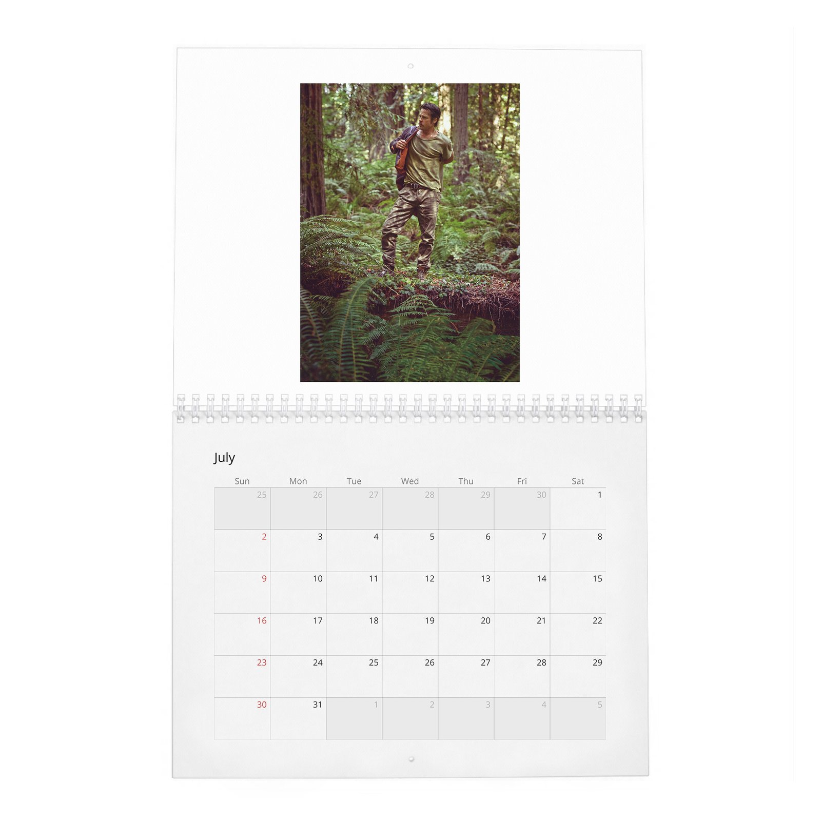07 Brad Pitt - Forest Soul 2027 Wall Calendar