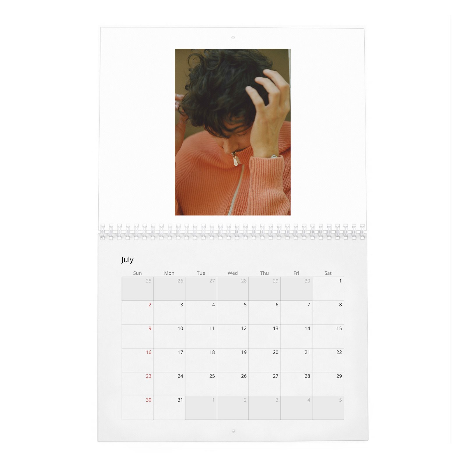 07 Cesar Domboy - Flaunt 2027 Wall Calendar