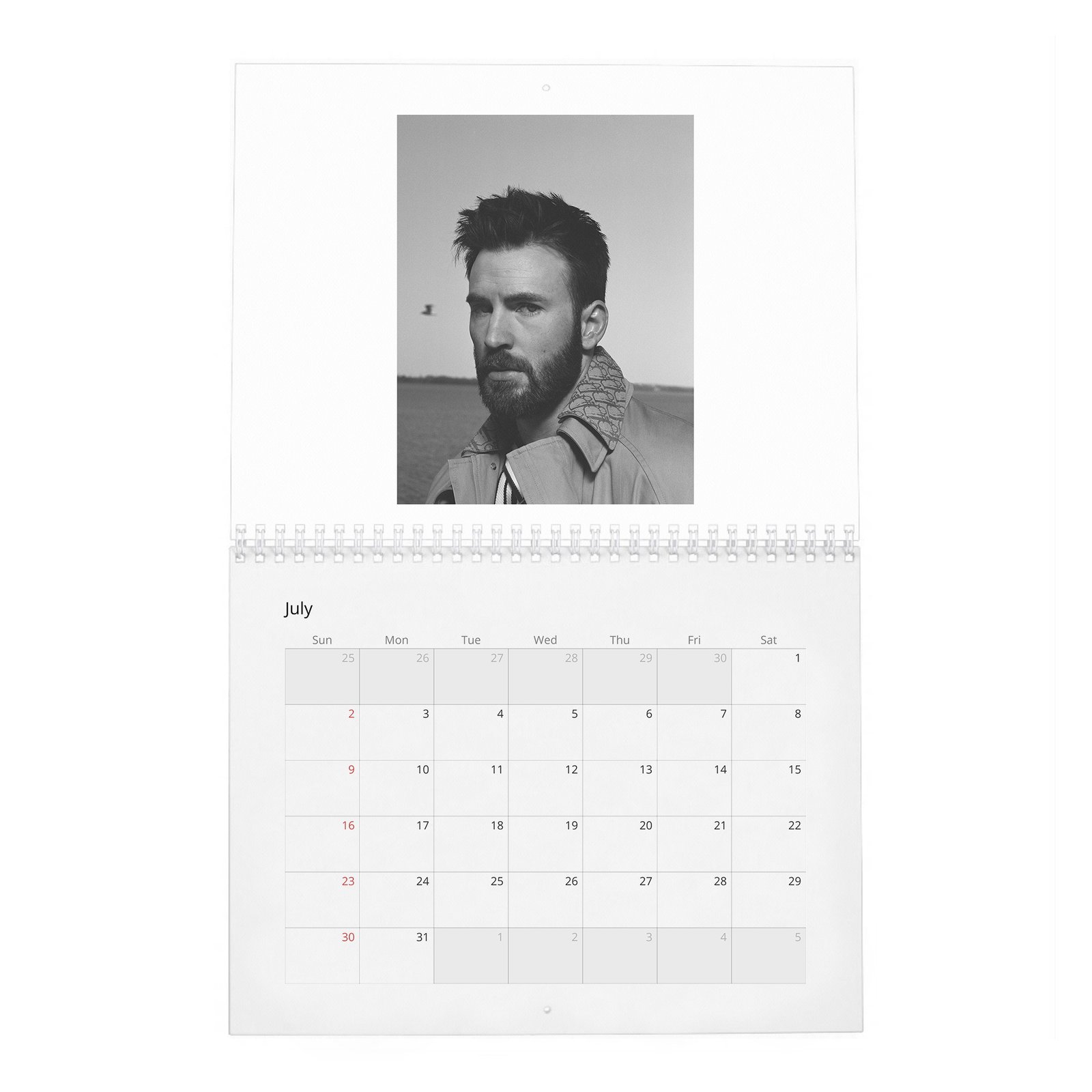 07 Chris Evans - Doesn't Like To Talk About Himself 2027 Wall Calendar