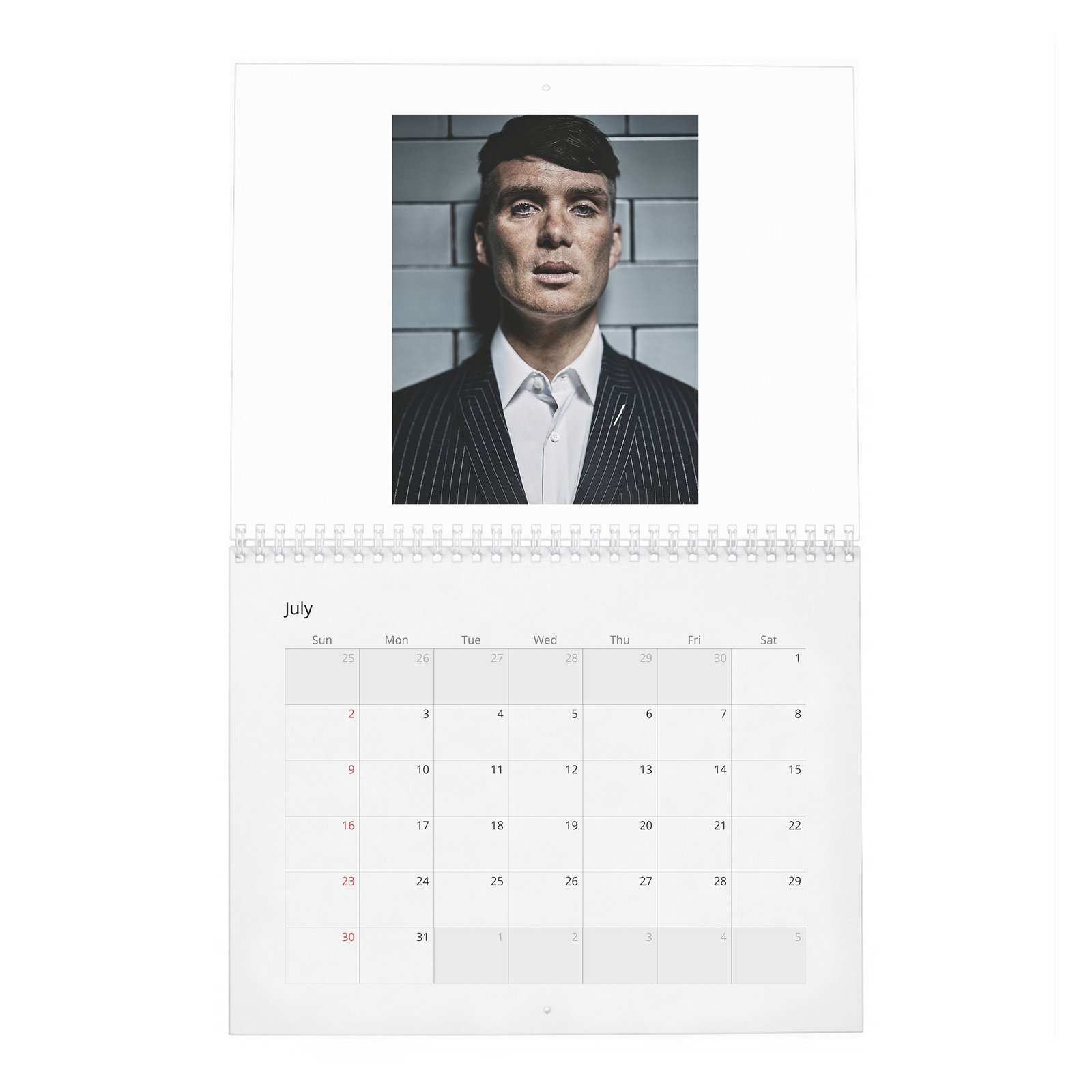 07 Cillian Murphy - Actor Of The Year 2027 Wall Calendar