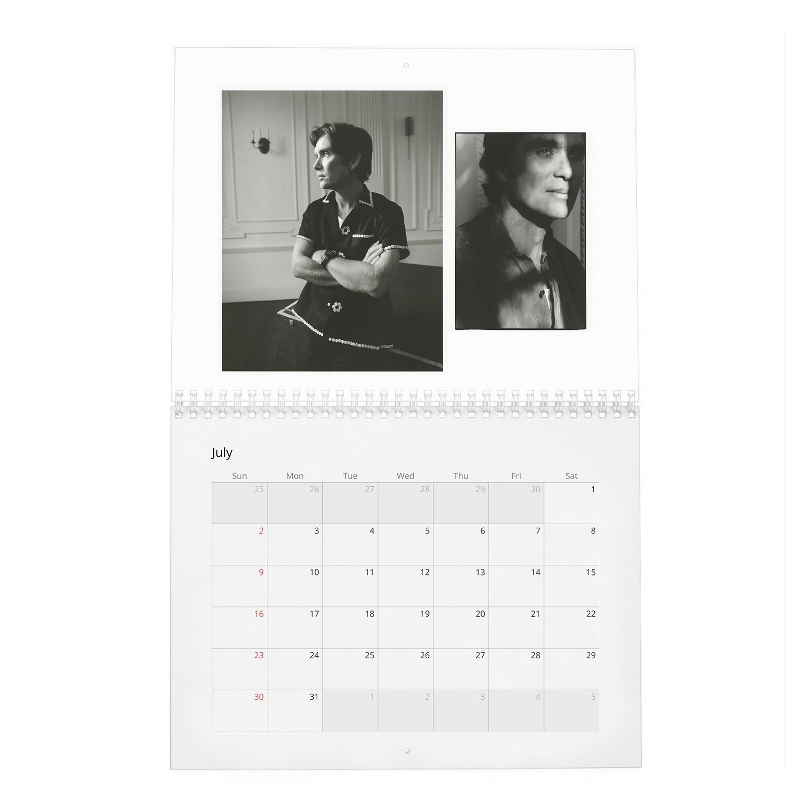 07 Cillian Murphy - Field Of His Own 2027 Wall Calendar