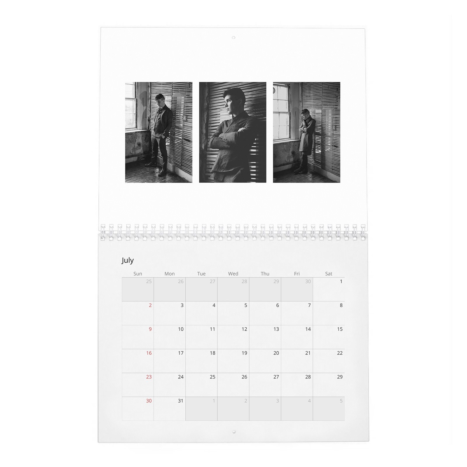 07 Cillian Murphy - So It Goes 2027 Wall Calendar