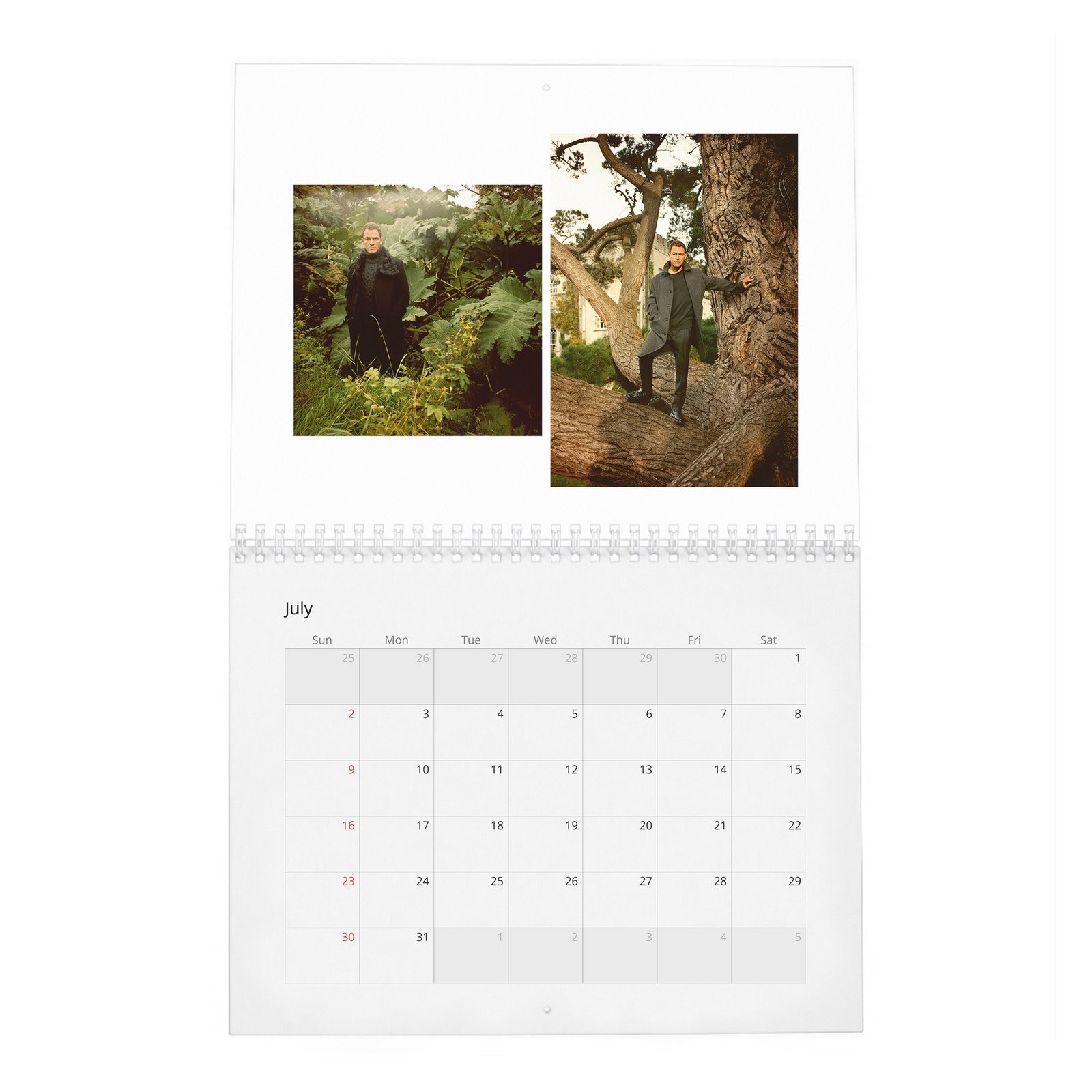 07 Dominic West - King Of The Castle 2027 Wall Calendar